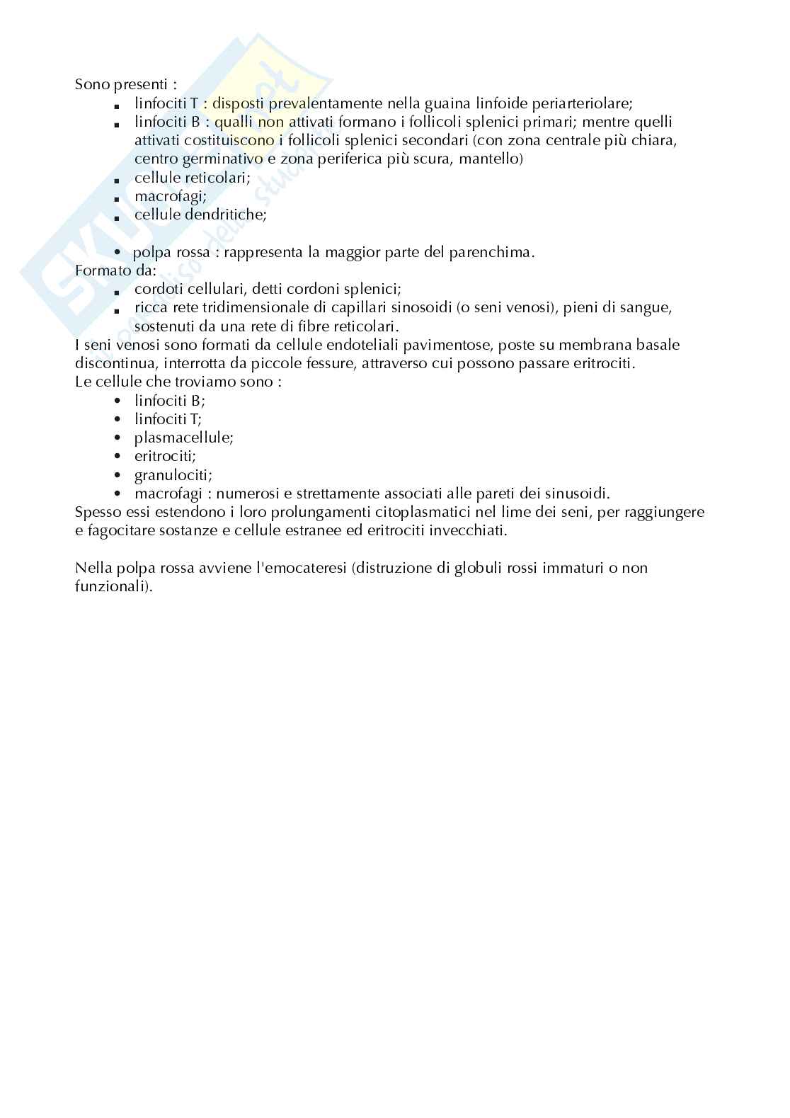Appunti anatomia microscopica-apparato digerente  Pag. 6