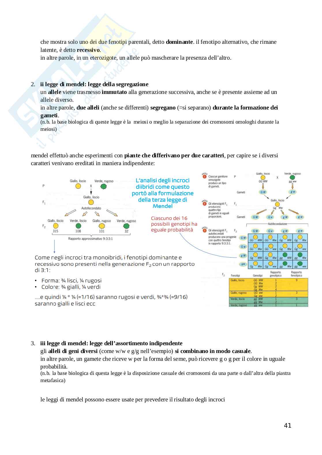 Genetica generale Pag. 41
