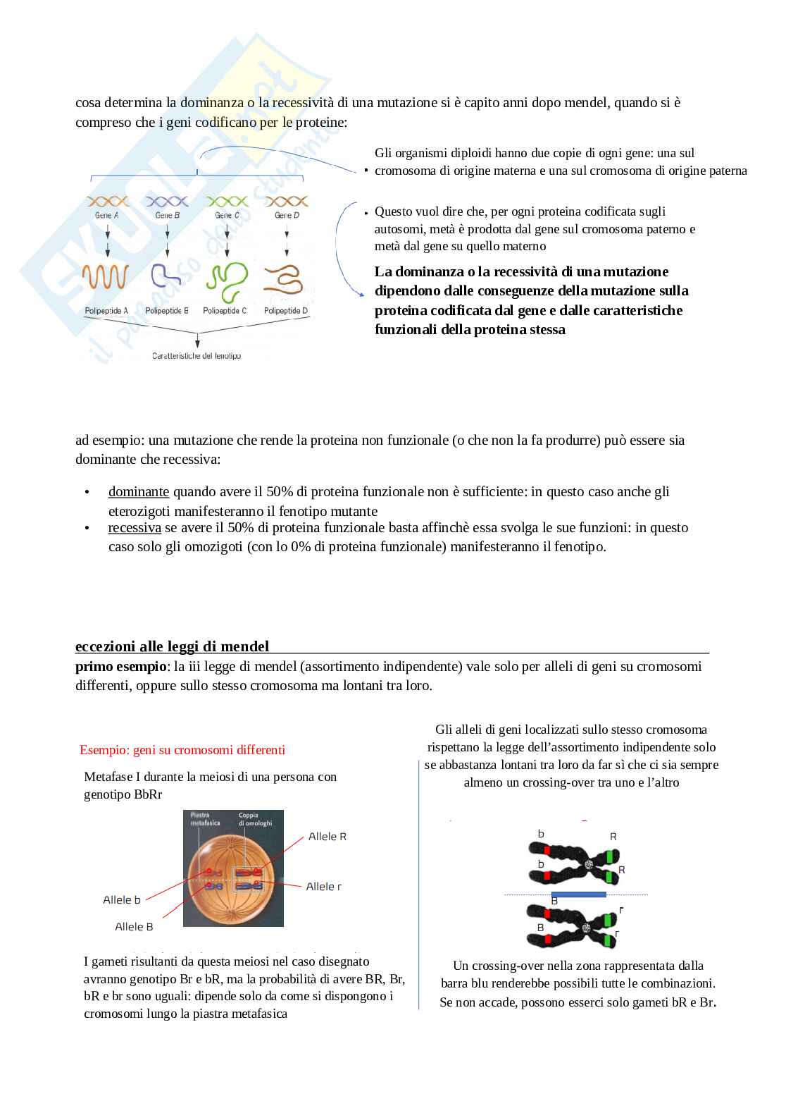 Genetica generale Pag. 46