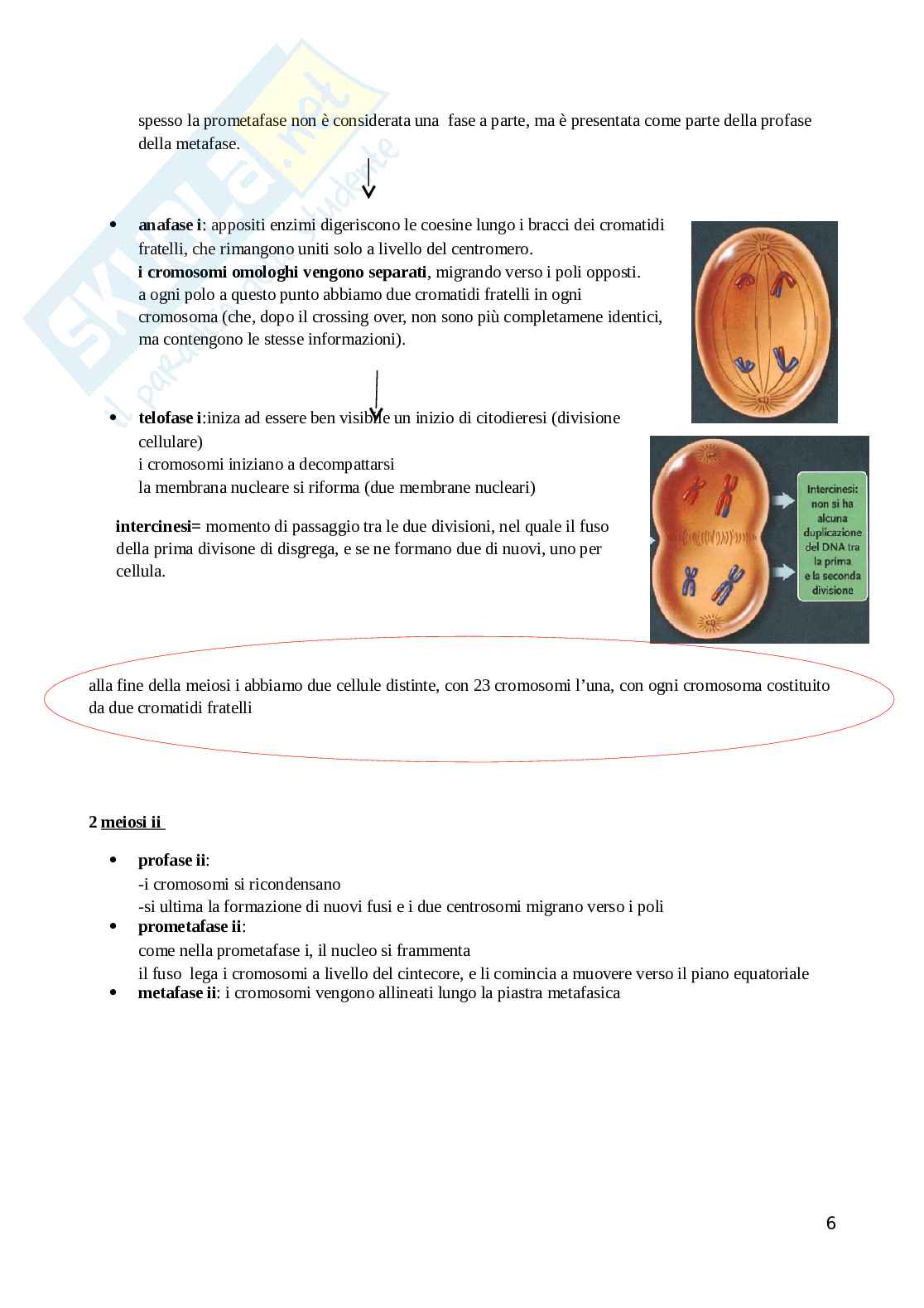 Genetica generale Pag. 6