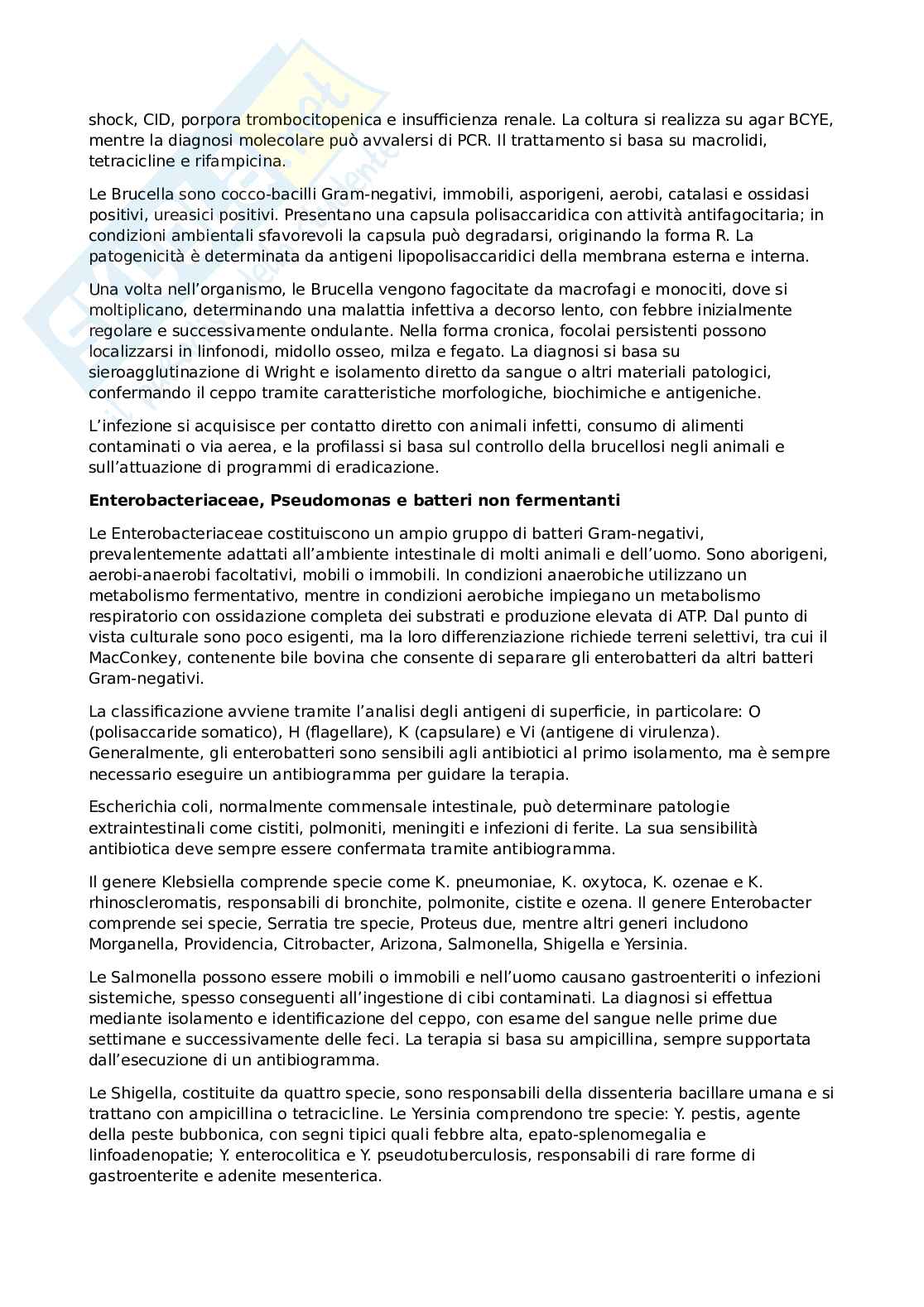 Microbiologia  Pag. 16