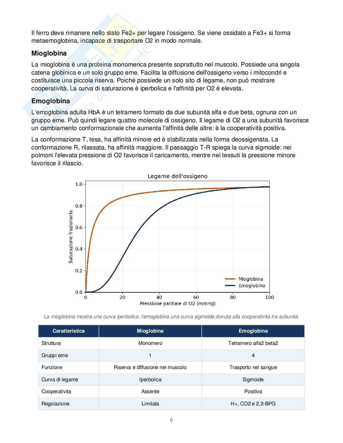 Biochimica Pag. 6