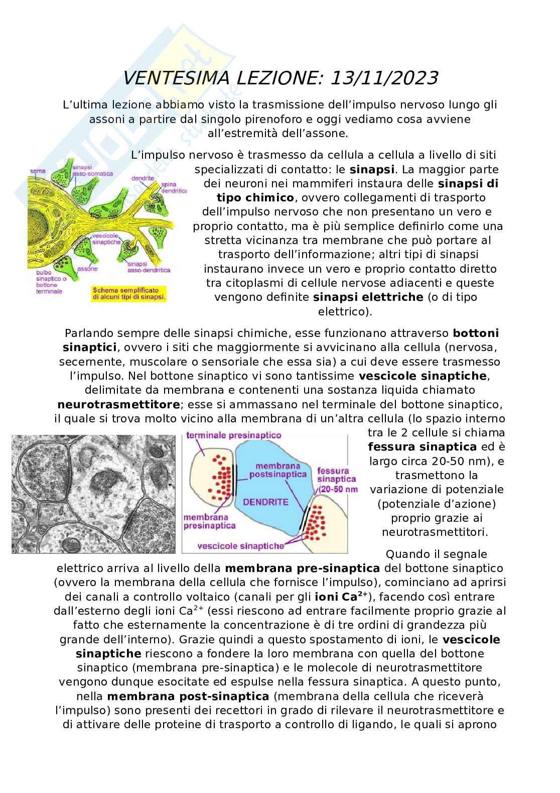 Appunti Citologia e istologia Pag. 1