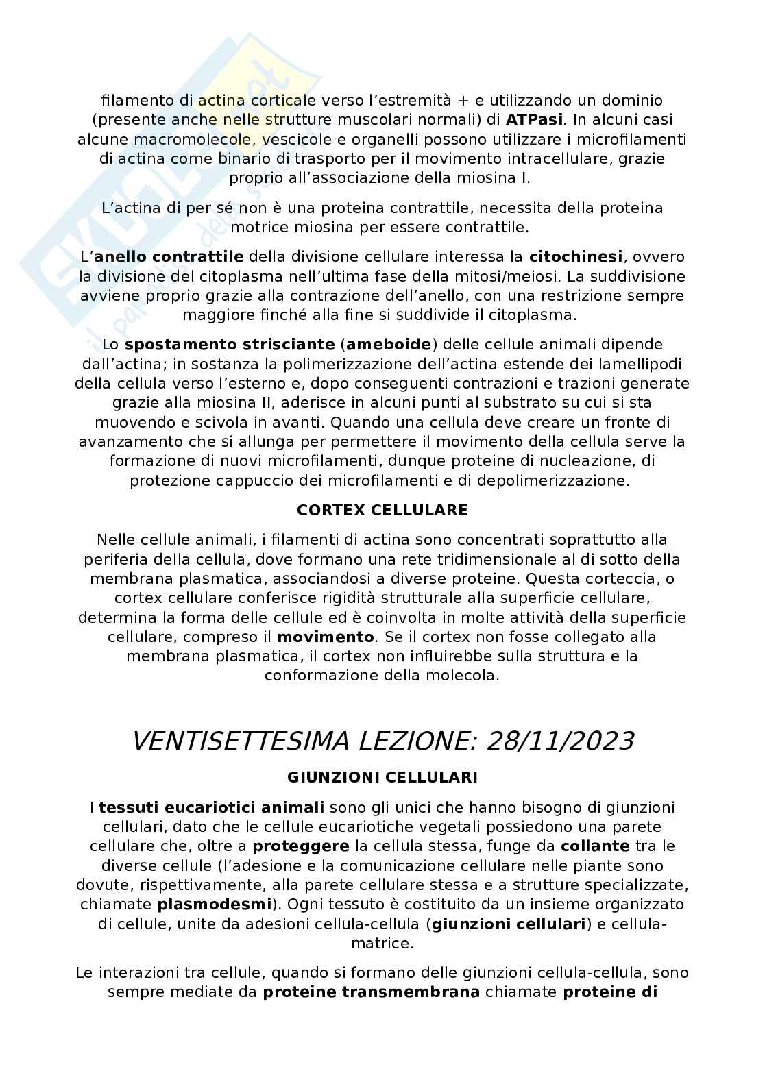 Appunti Citologia e istologia Pag. 31