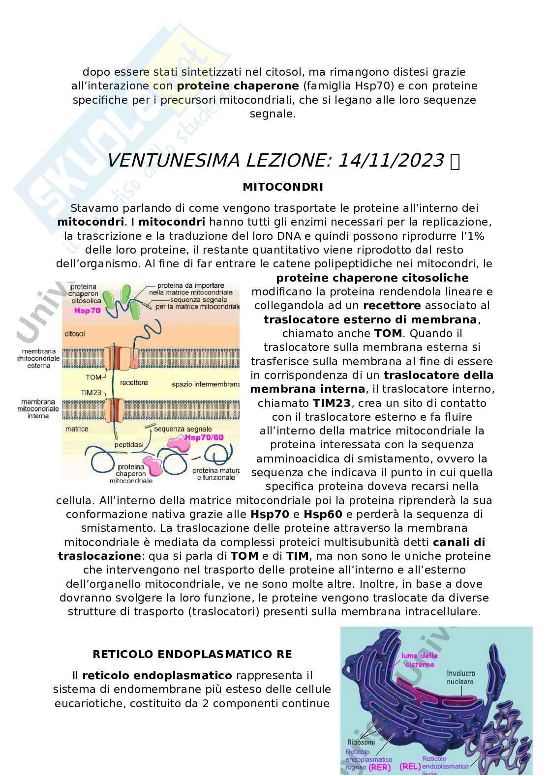 Appunti Citologia e istologia Pag. 6