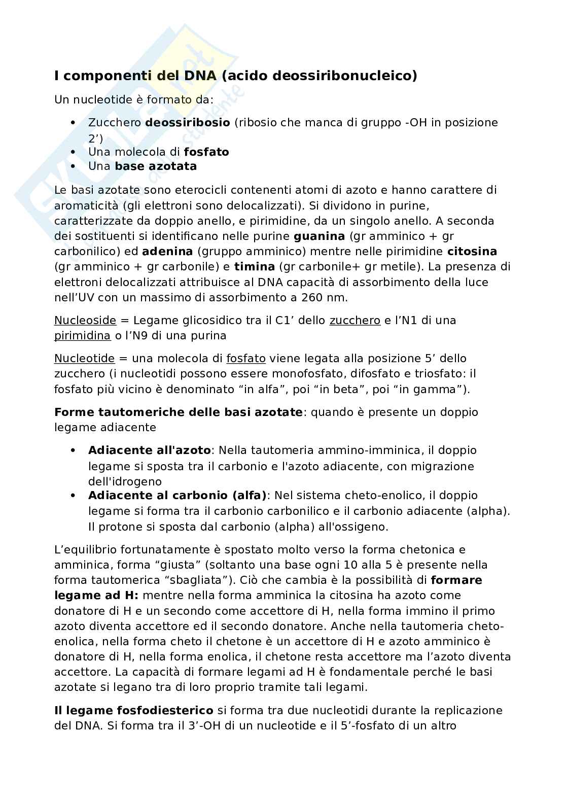 DNA - Appunti Pag. 1