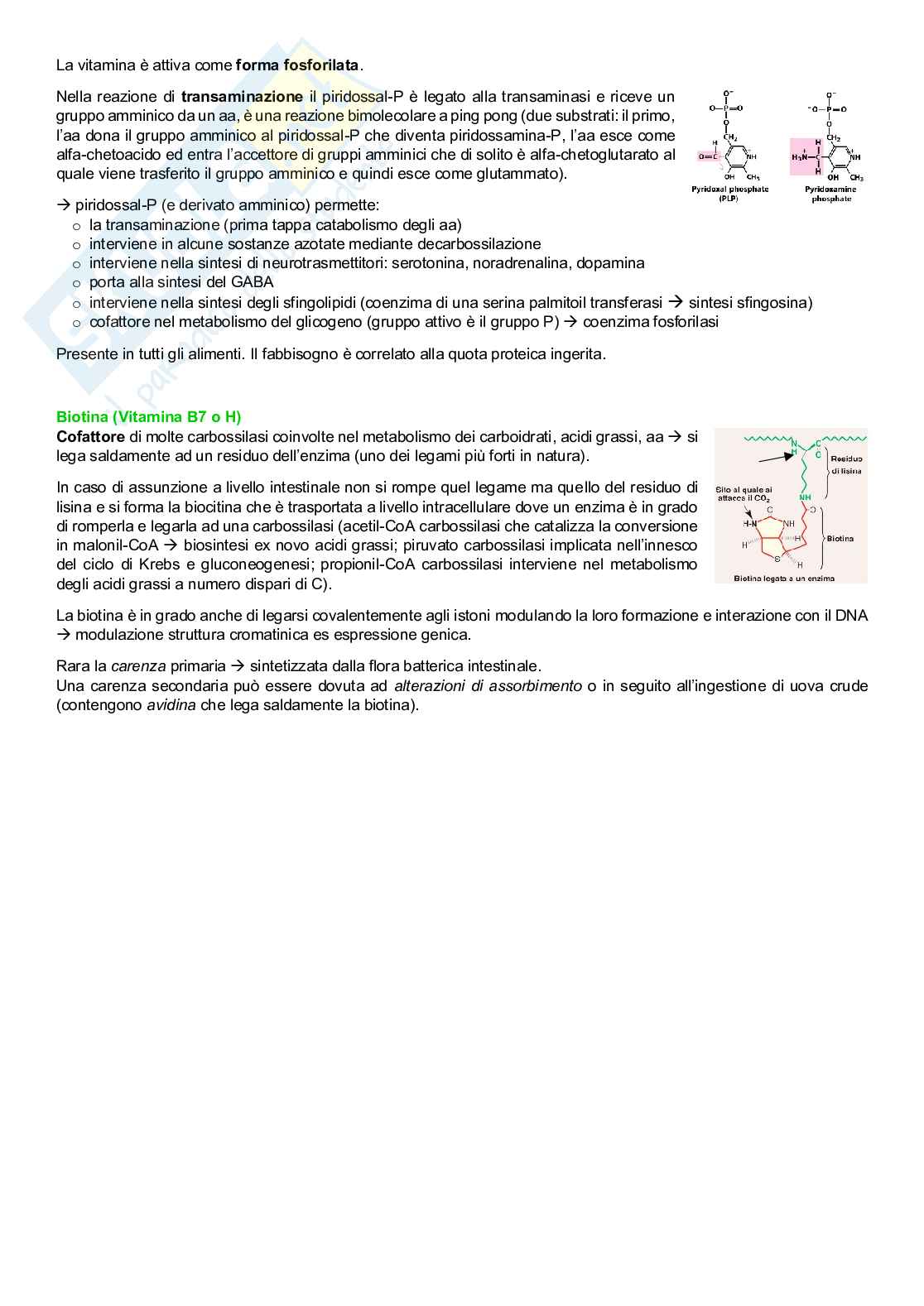 Biochimica e fondamenti di biochimica umana - II semestre Pag. 16