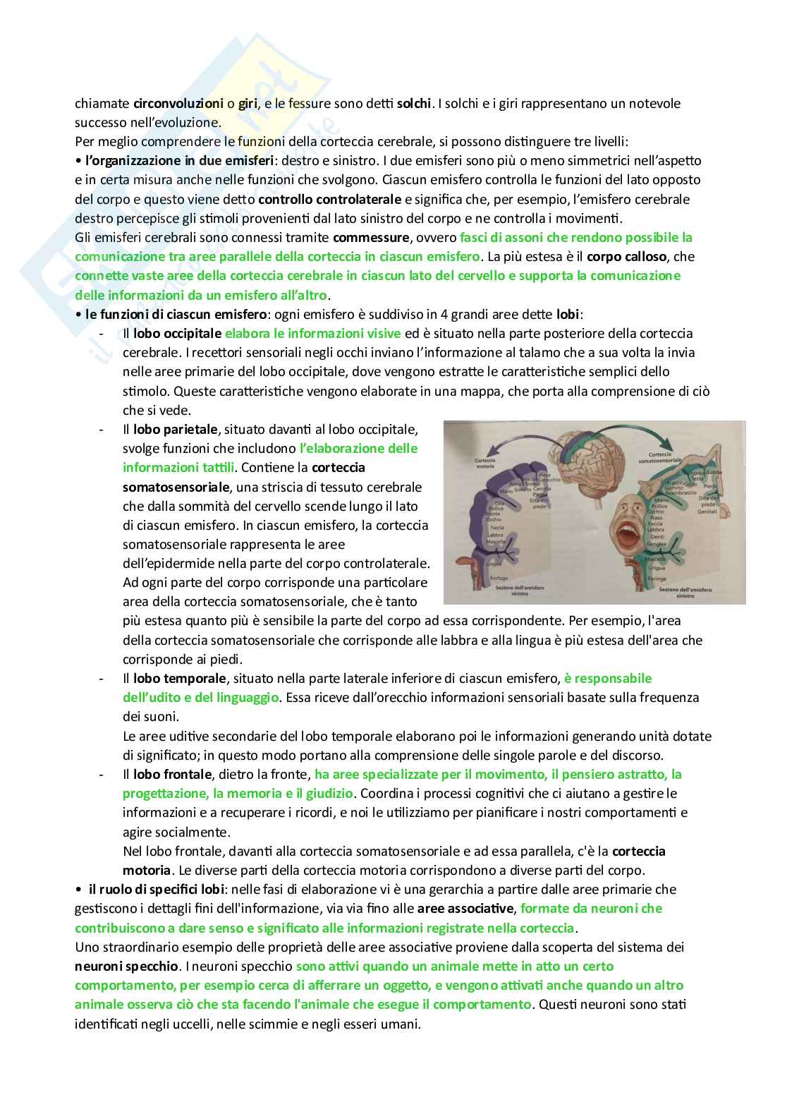 Riassunto esame Fondamenti di psicologia generale, Prof. Fabio Rosa Angela, libro consigliato Psicologia generale, Schacter, Gilbert, Nock, Weber Pag. 16