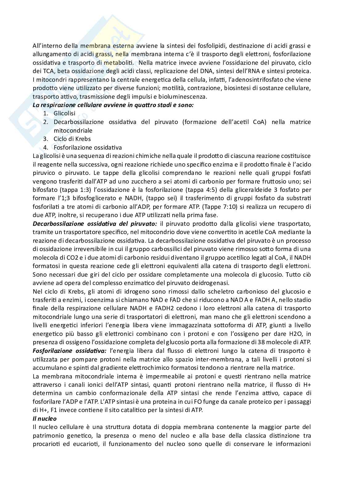 Biologia cellulare  Pag. 16