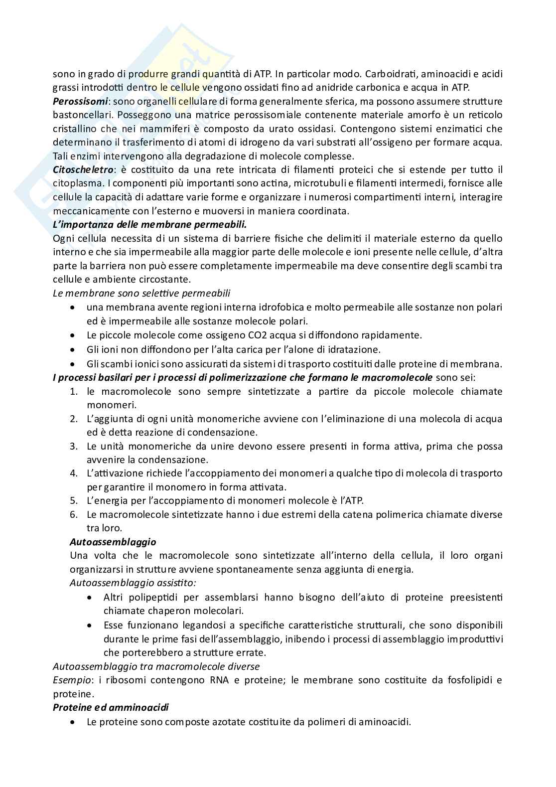 Biologia cellulare  Pag. 2