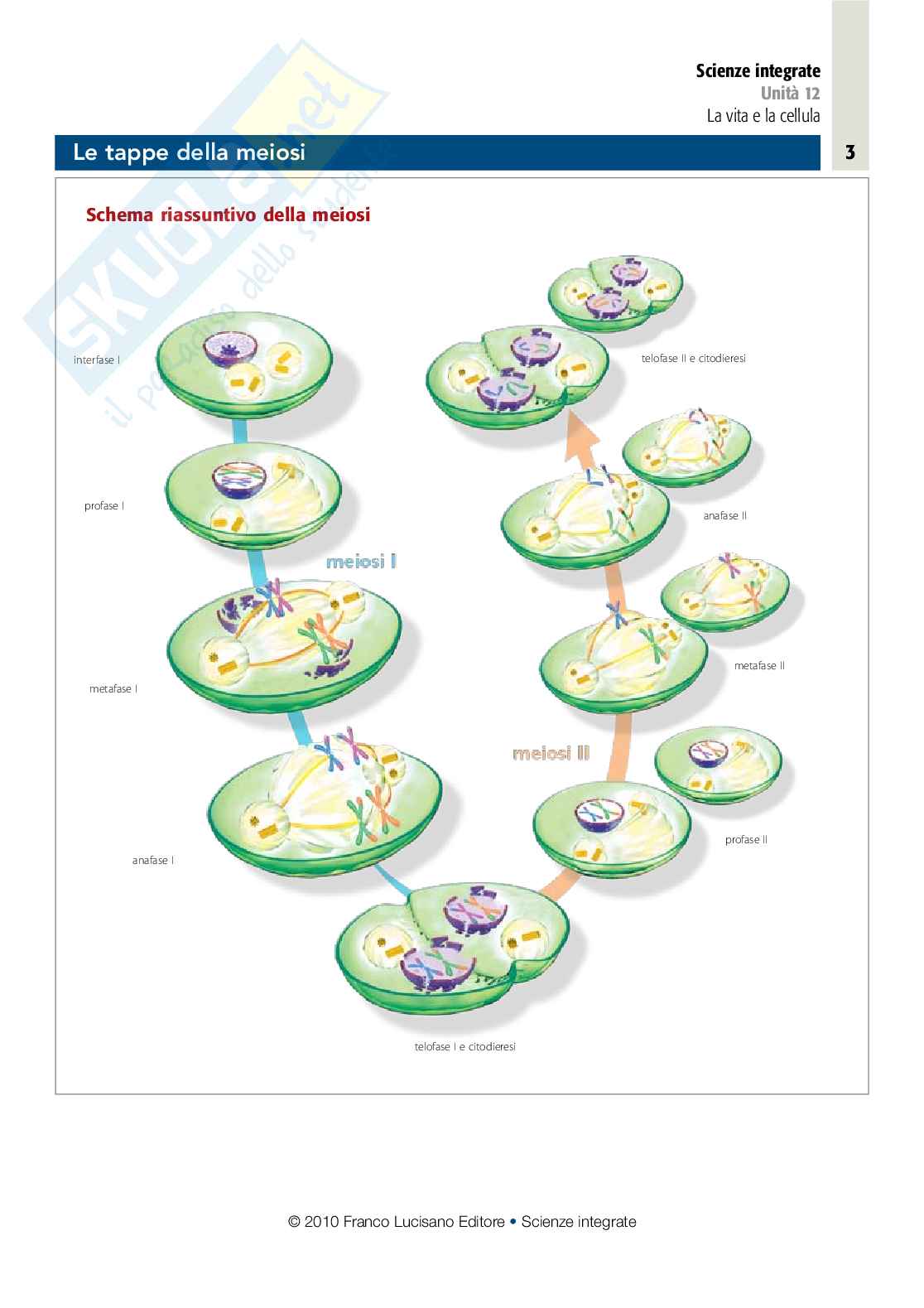 Biologia cellulare  Pag. 36