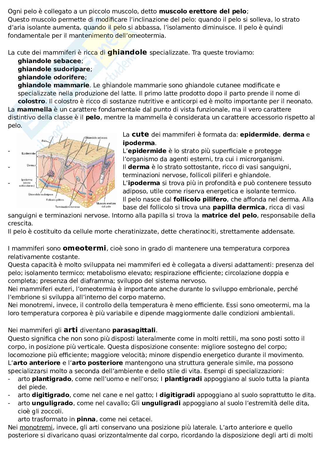 Mammiferi Pag. 2