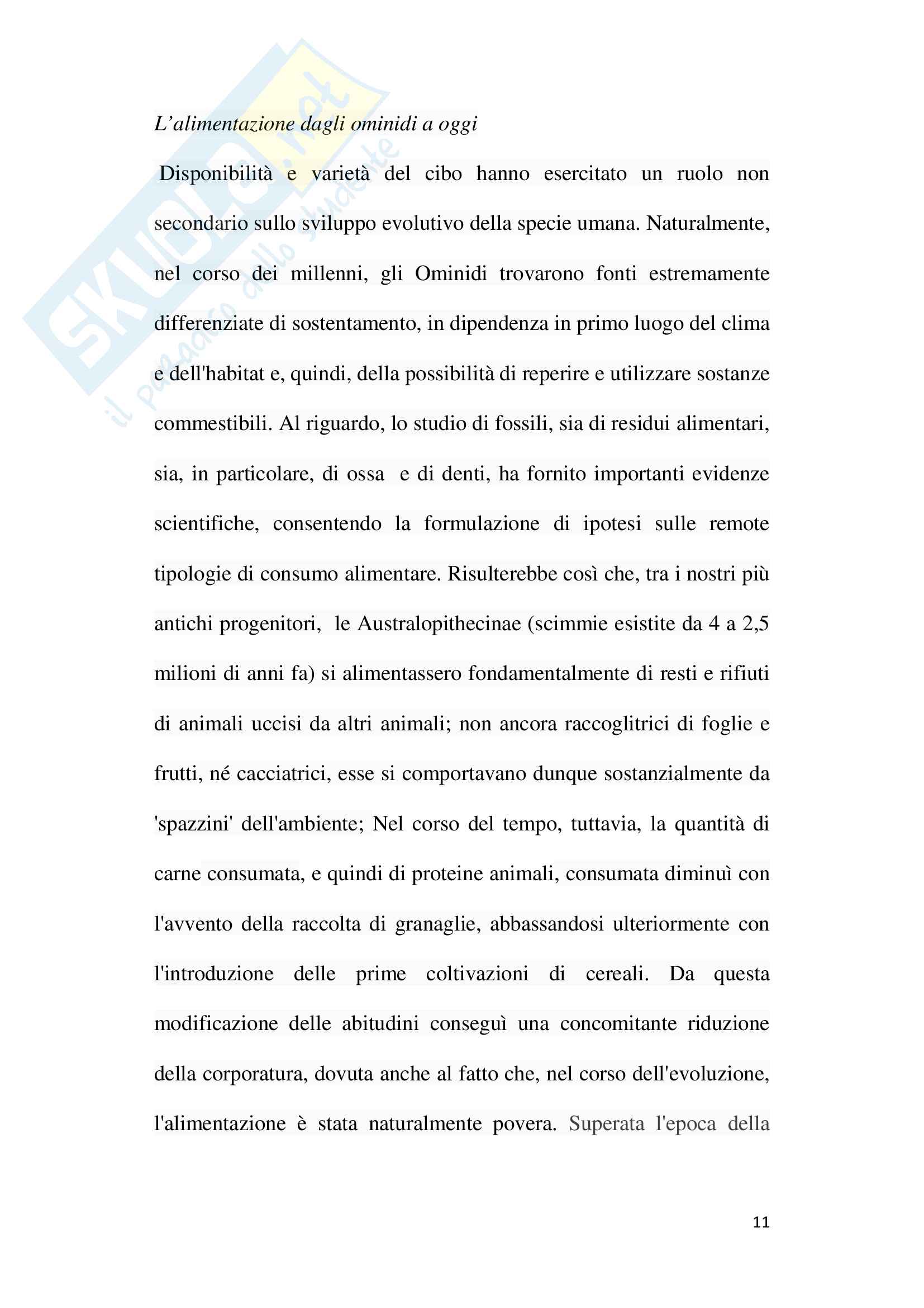 La dieta mediterranea e la sua evoluzione Pag. 11