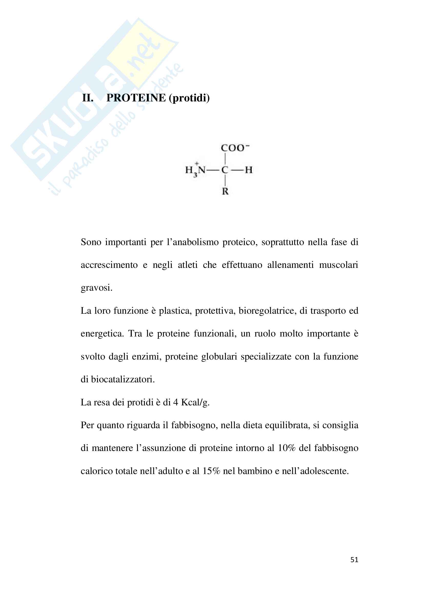 La dieta mediterranea e la sua evoluzione Pag. 51