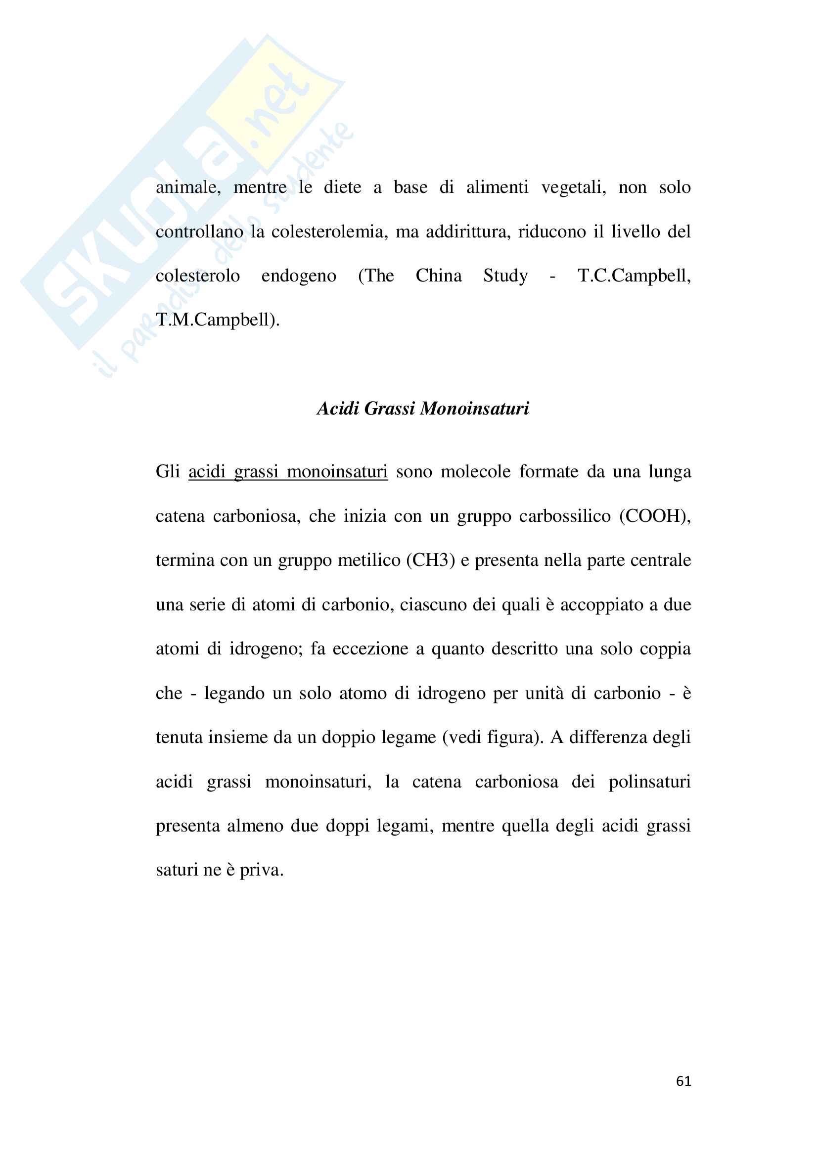 La dieta mediterranea e la sua evoluzione Pag. 61