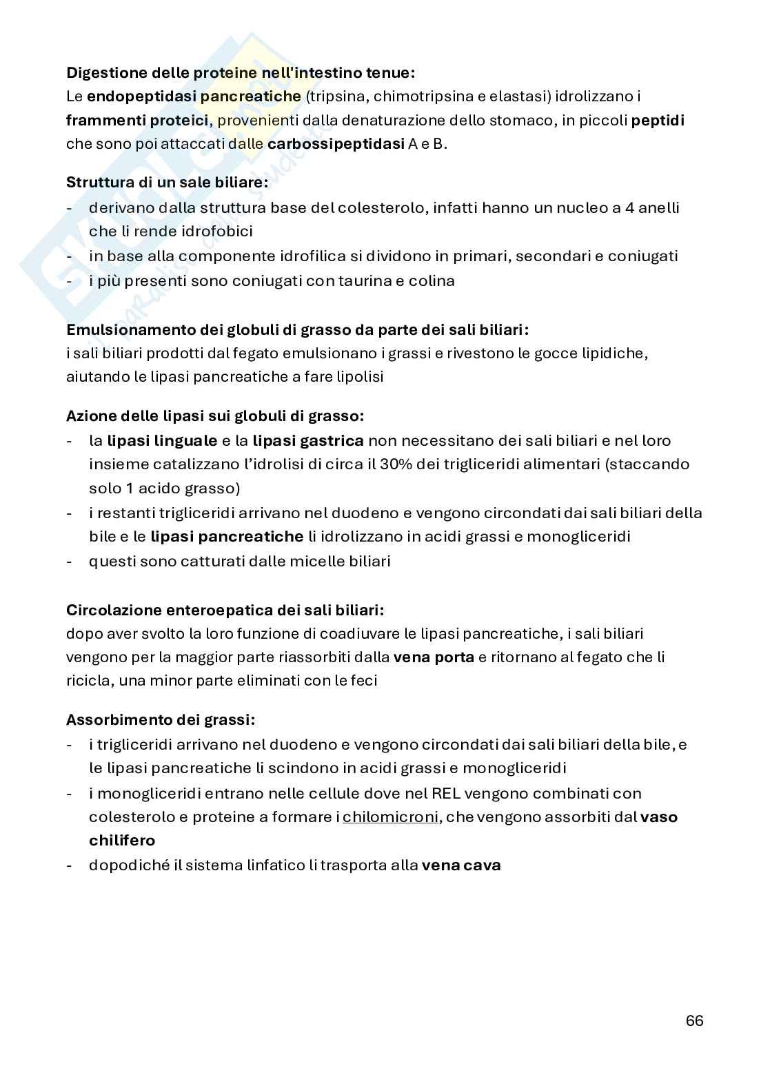 Fisiologia umana (scritto) - 2023 Pag. 66