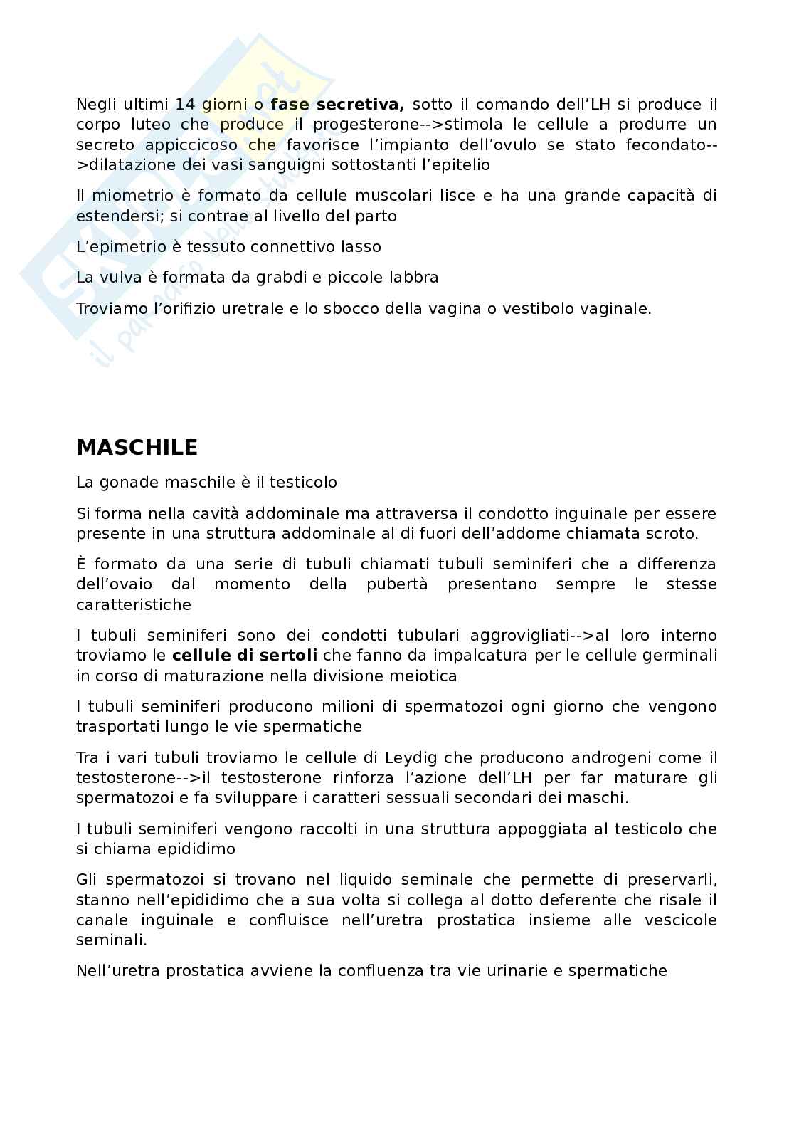 Anatomia umana Pag. 51