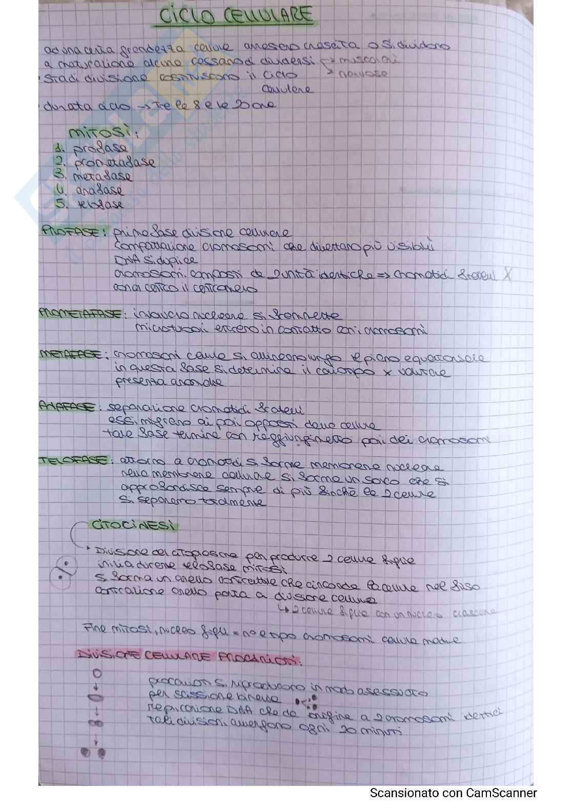 Biologia animale Pag. 11