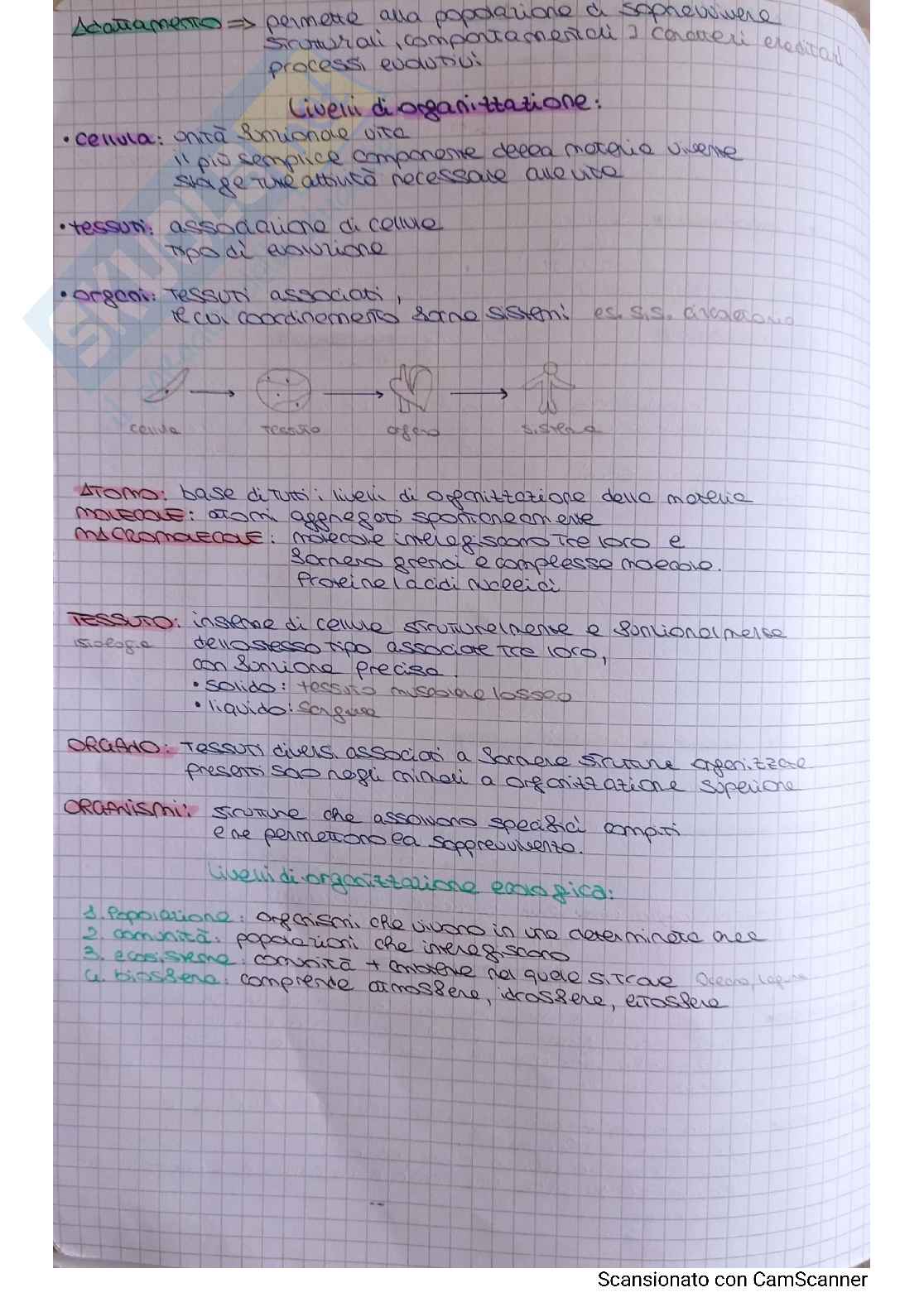 Biologia animale Pag. 2