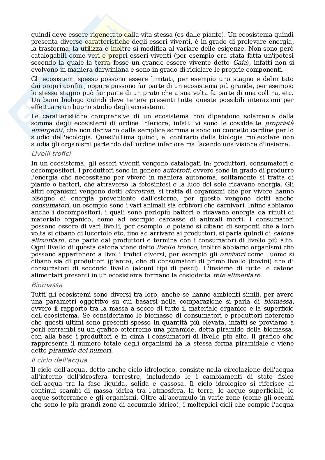 Sessantotto Pag. 31