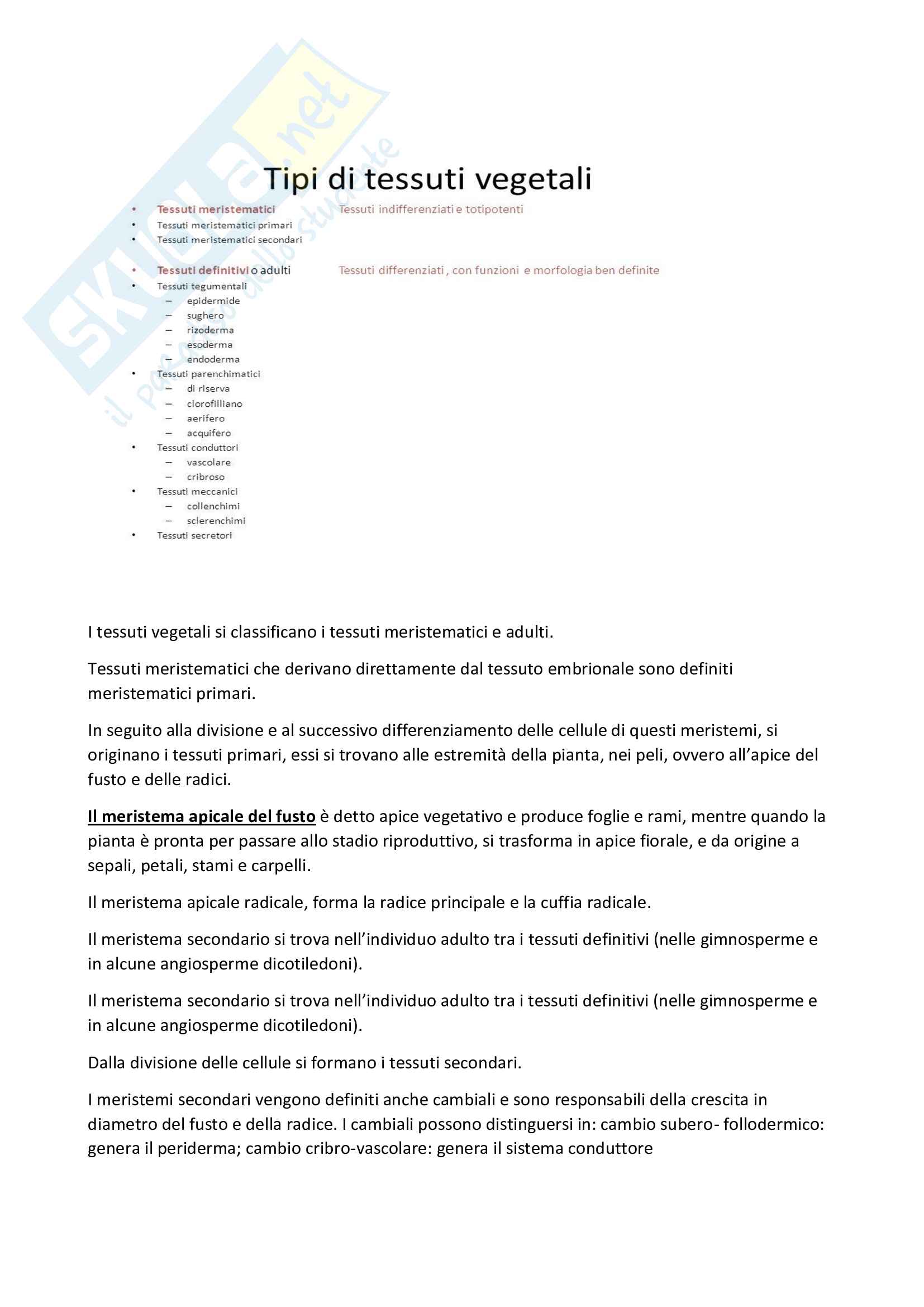 Nozioni di Botanica generale e sistematica Pag. 21