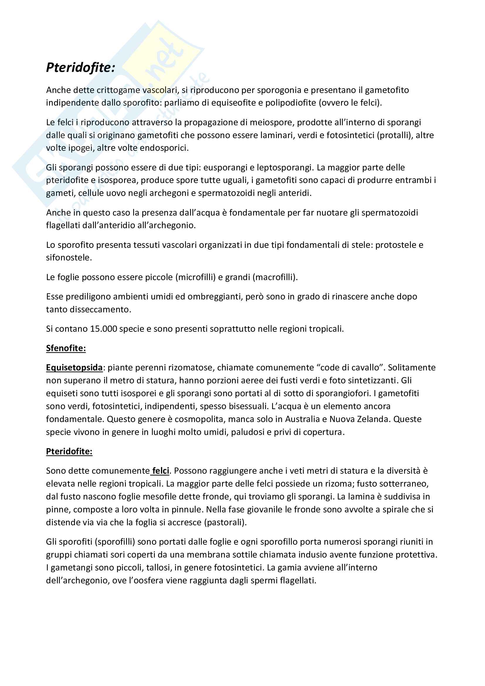 Nozioni di Botanica generale e sistematica Pag. 41