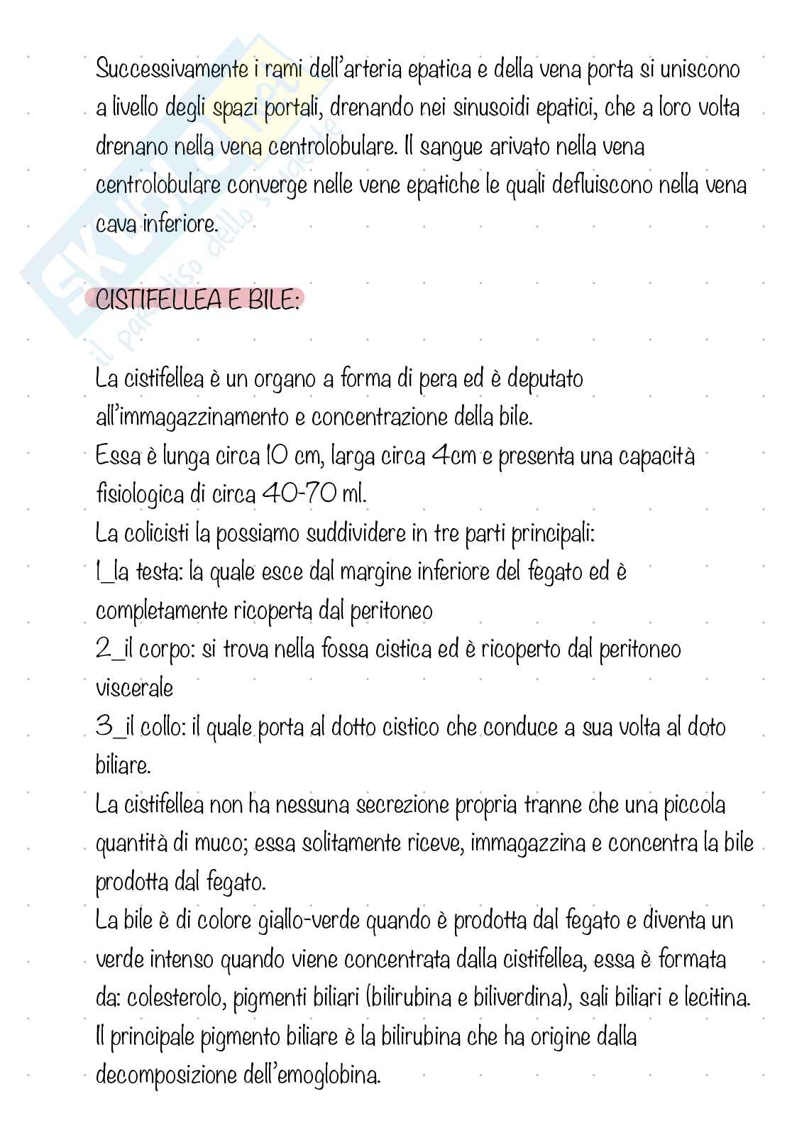 Apparato digerente  Pag. 21