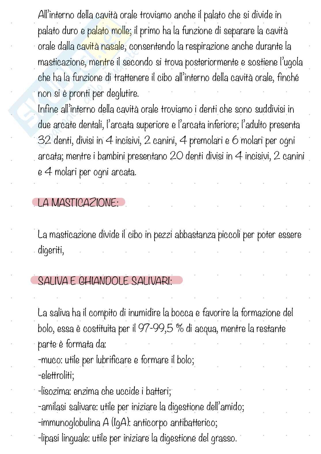 Apparato digerente  Pag. 6
