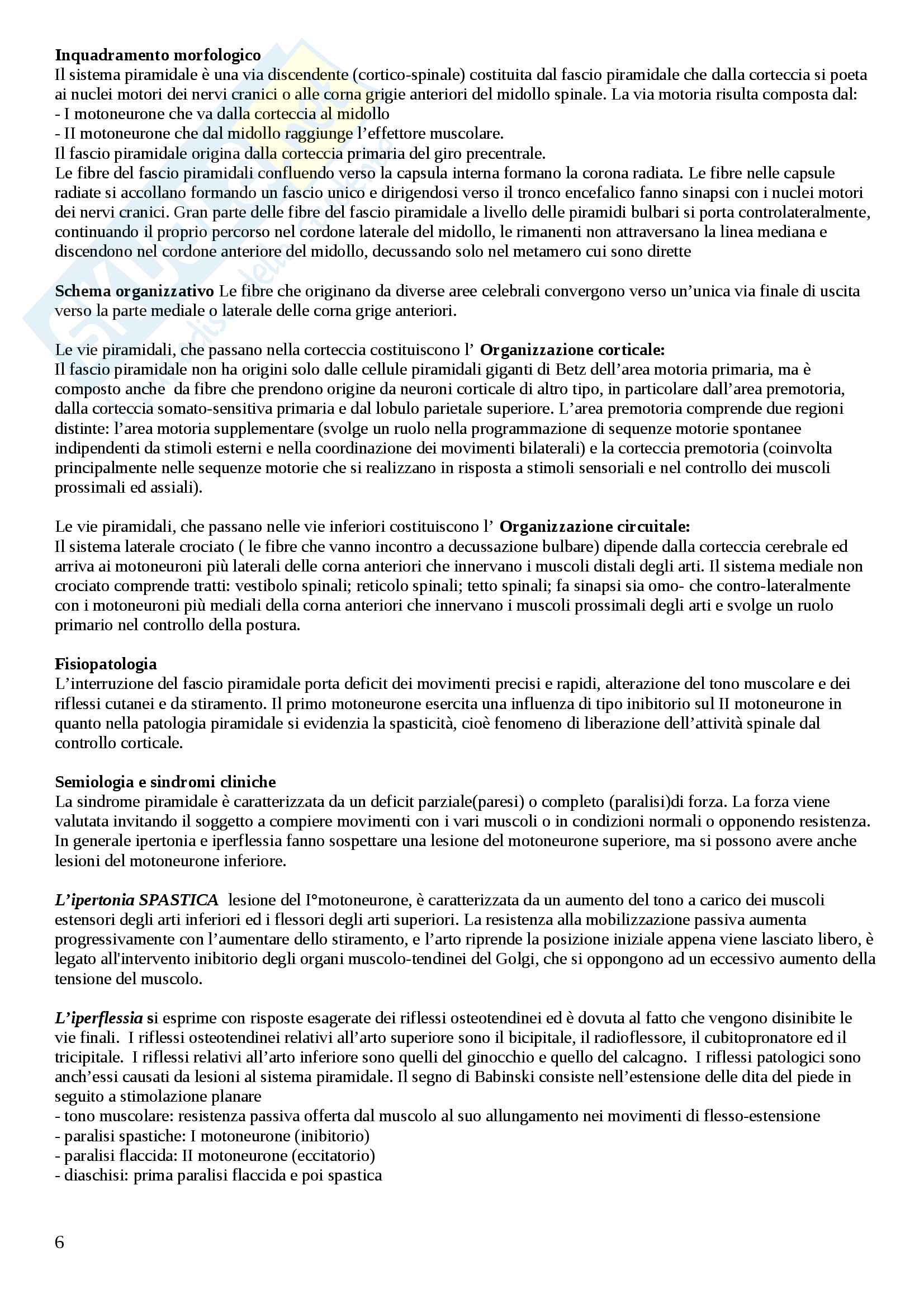Neurologia esame Pag. 6