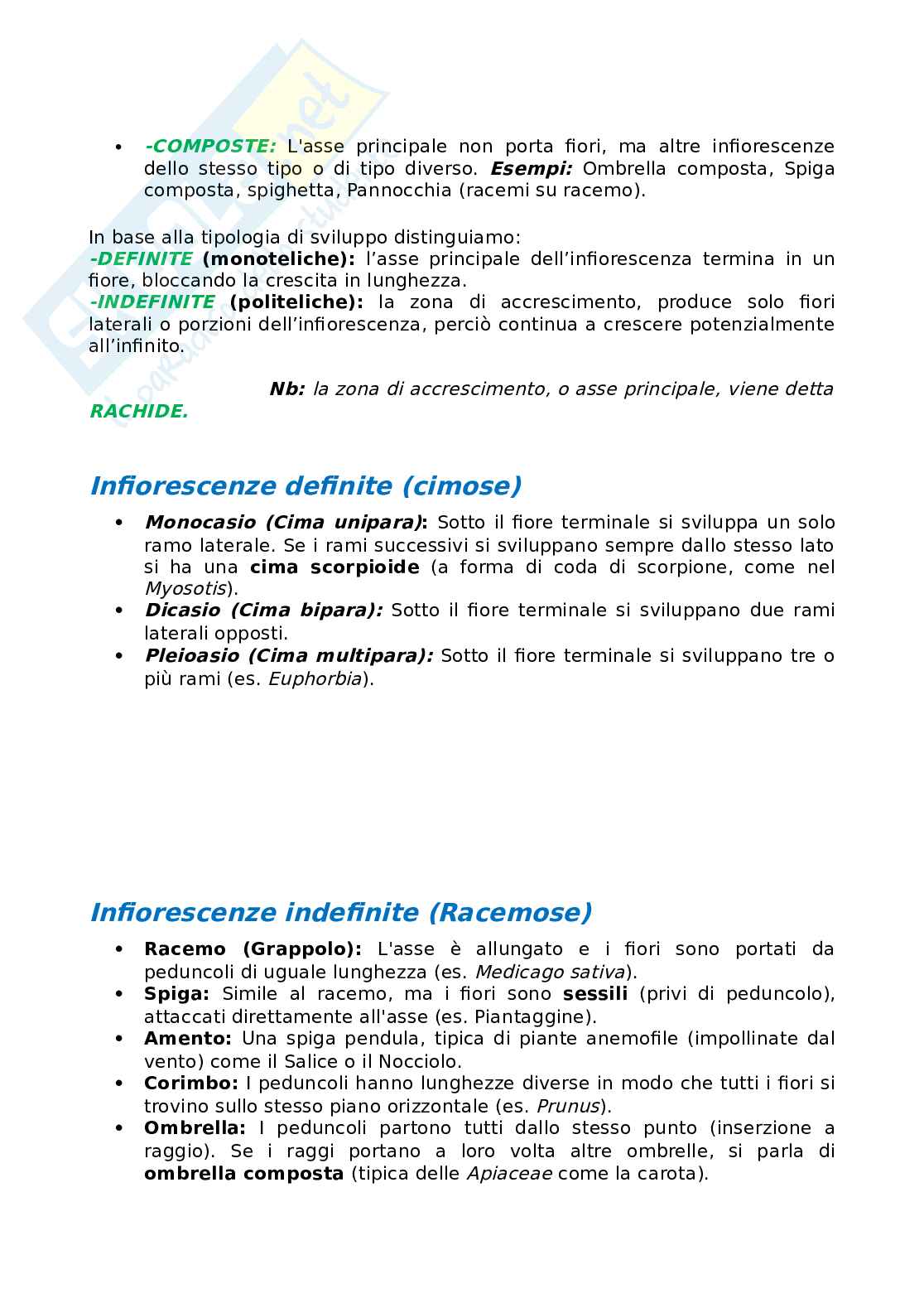 Botanica sistematica e applicata 1  Pag. 16
