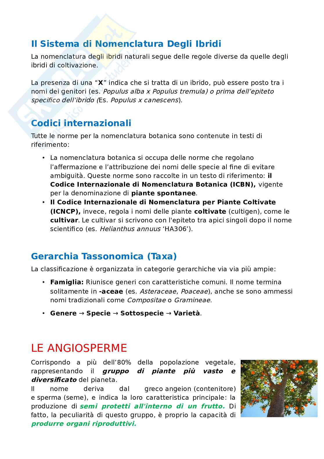 Botanica sistematica e applicata 1  Pag. 2