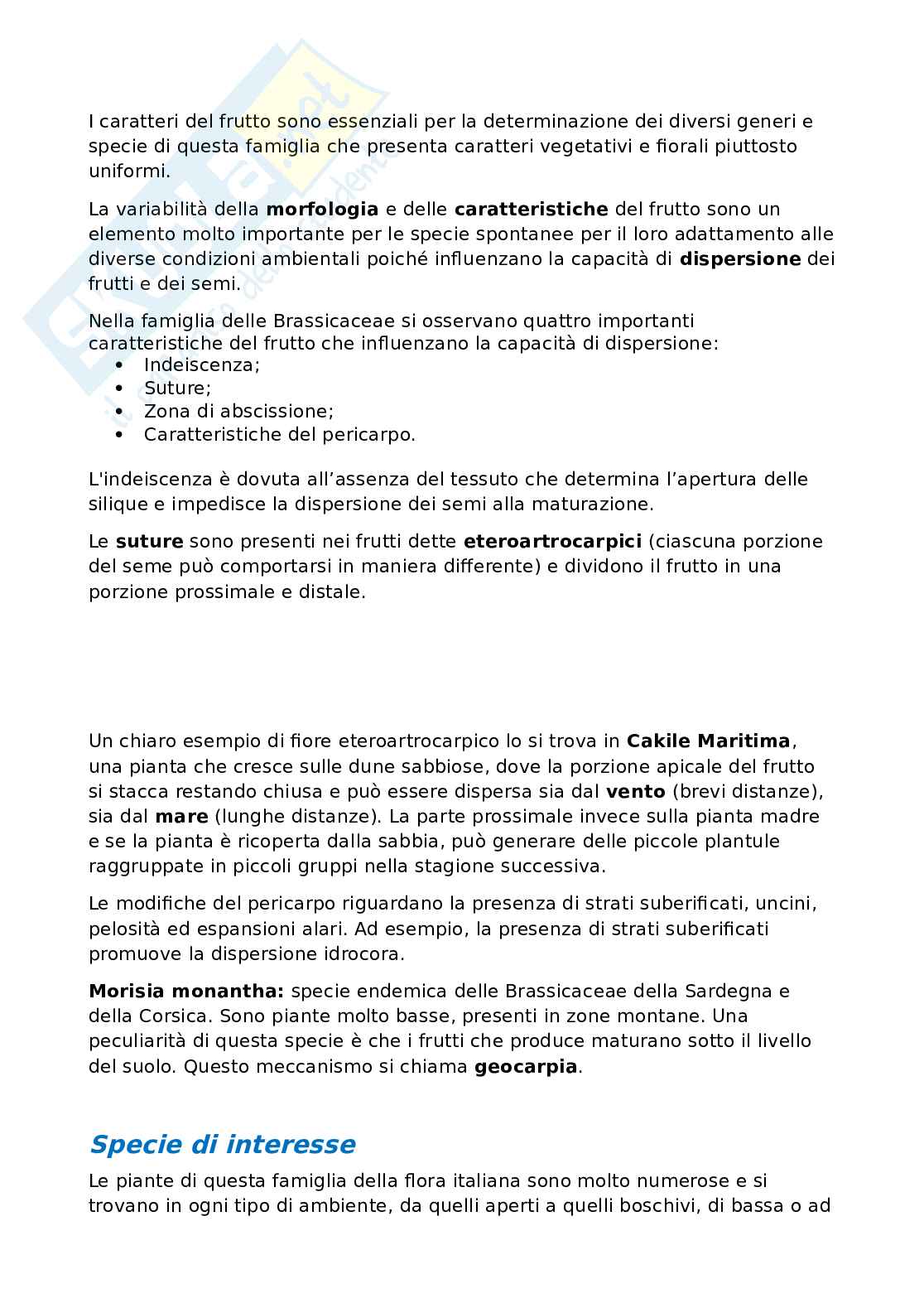 Botanica sistematica e applicata 1  Pag. 36