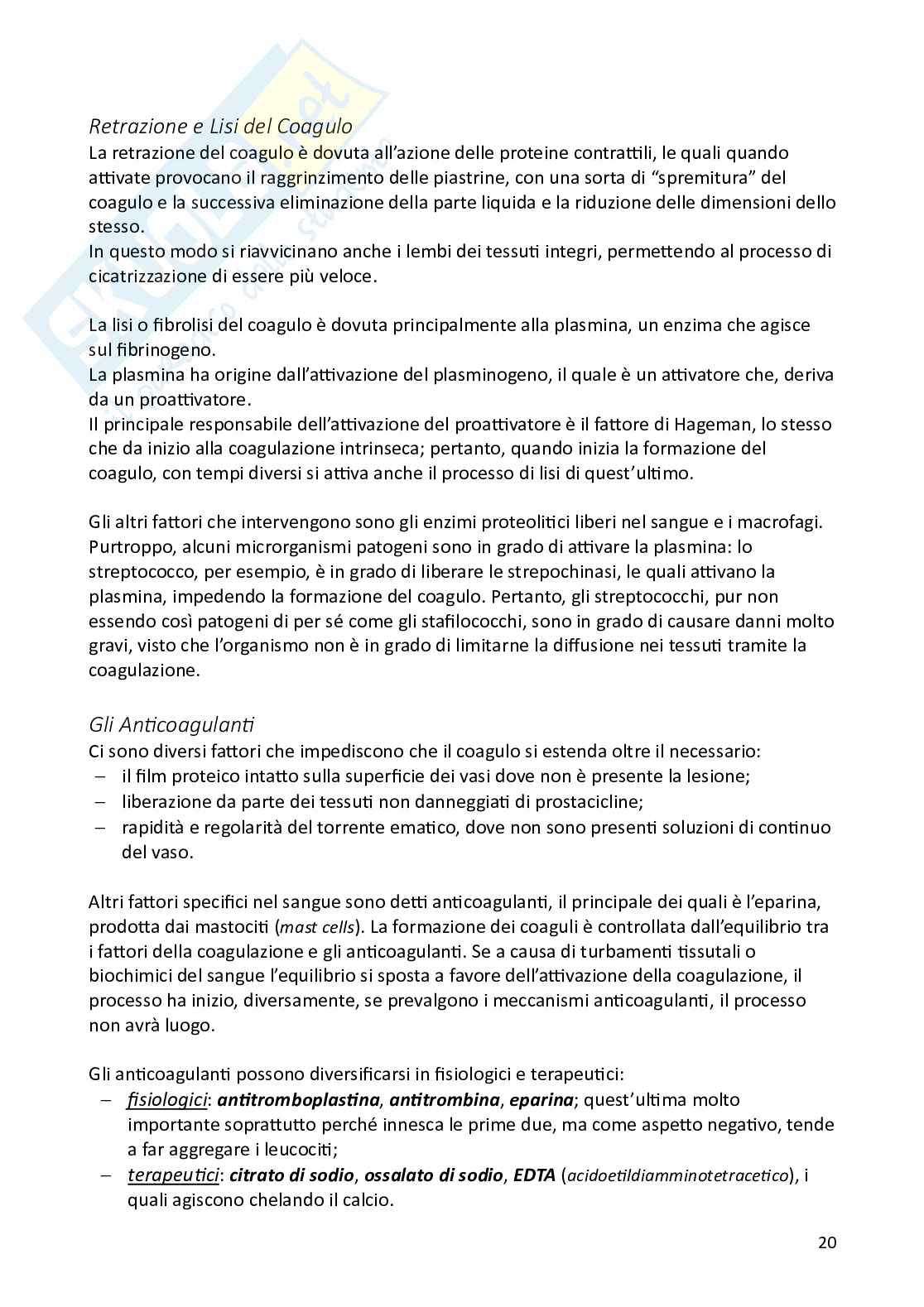Appunti di Fisiologia degli animali domestici Pag. 21