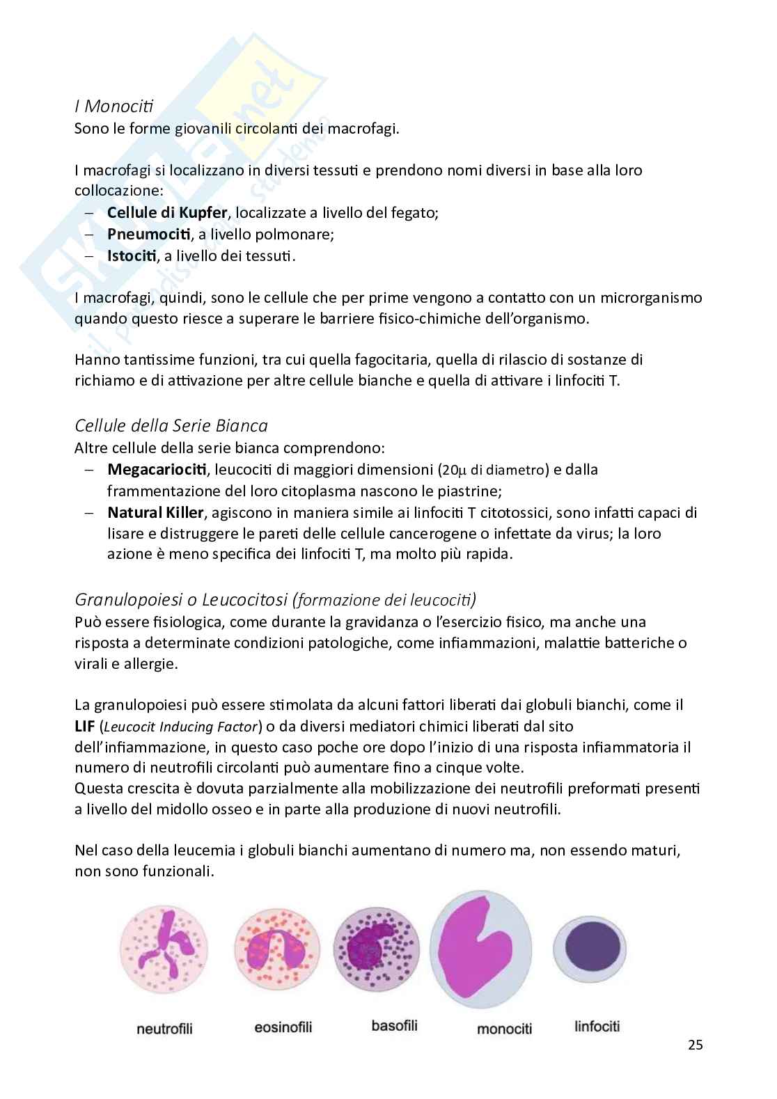 Appunti di Fisiologia degli animali domestici Pag. 26
