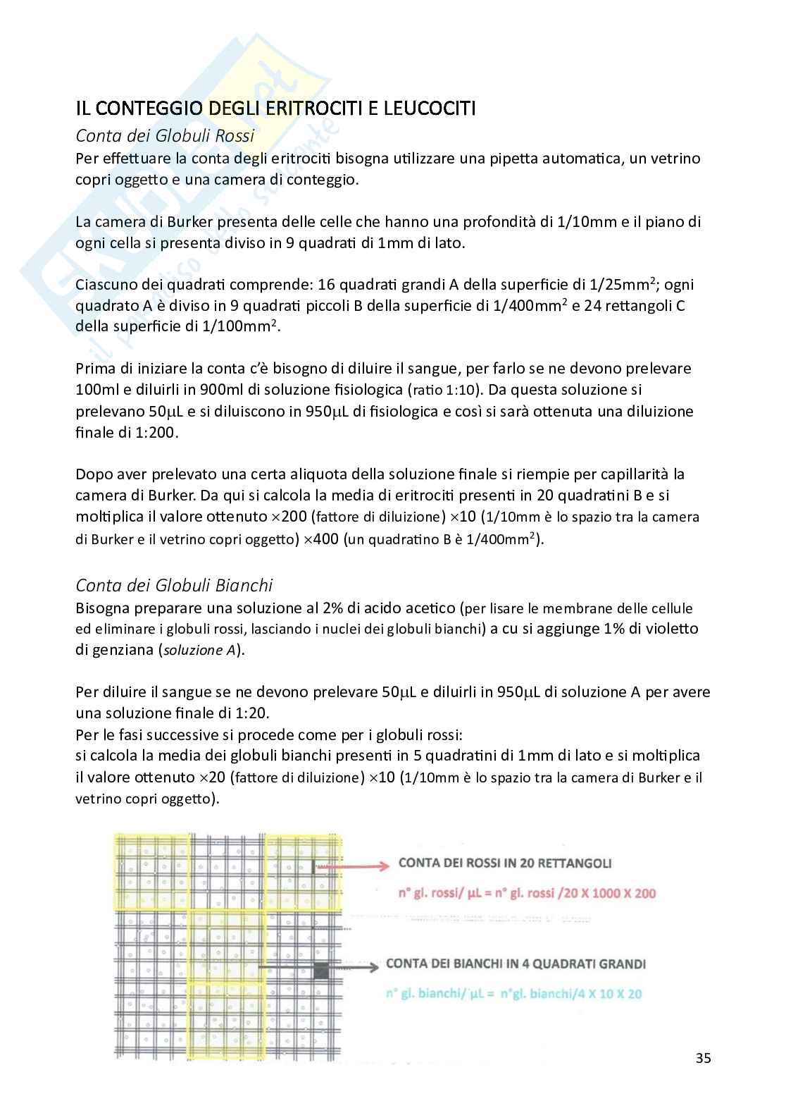 Appunti di Fisiologia degli animali domestici Pag. 36