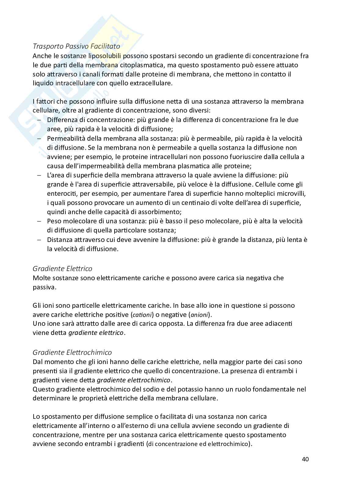 Appunti di Fisiologia degli animali domestici Pag. 41