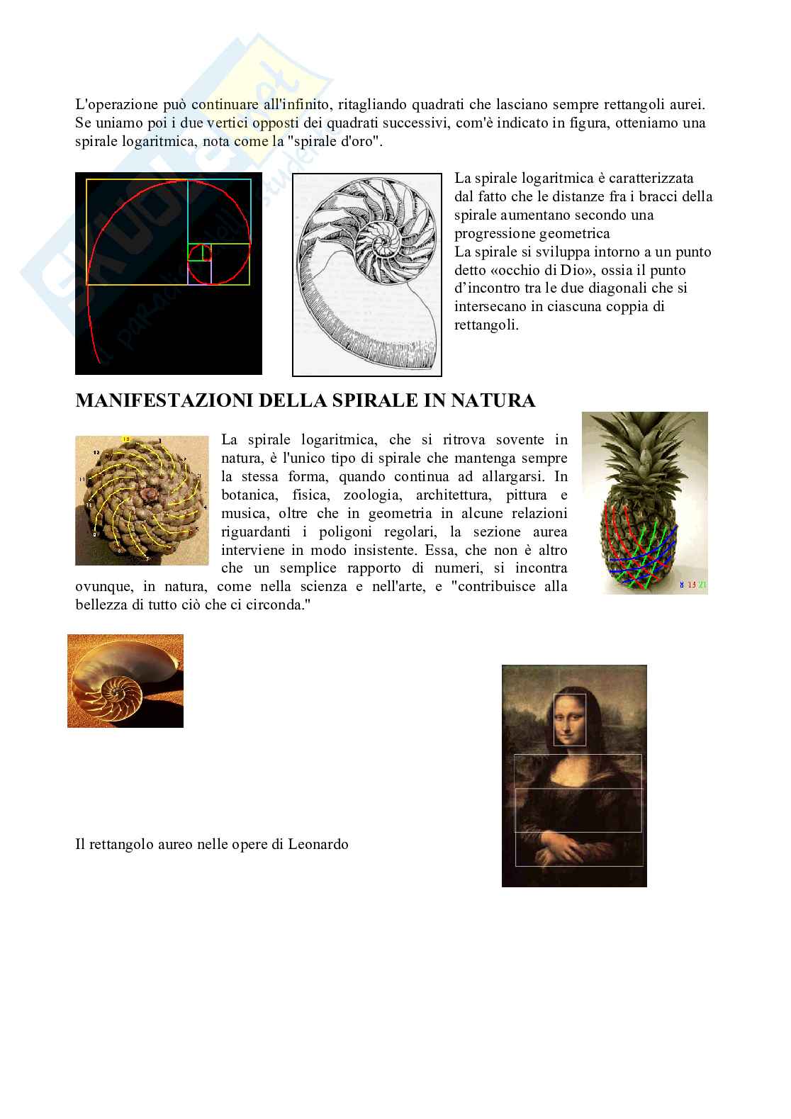 la legge e l'ordine matematico dell'universo Pag. 6