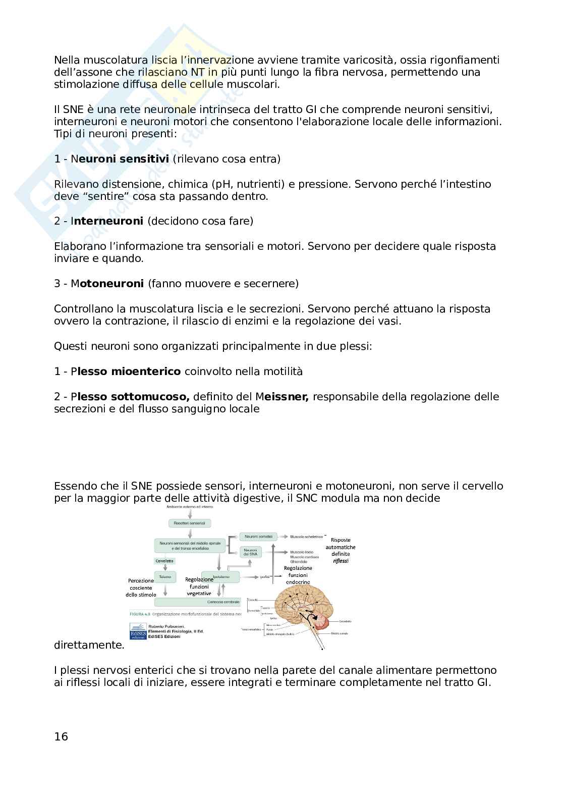 Appunti Fisologia della nutrizione, non completi Pag. 16