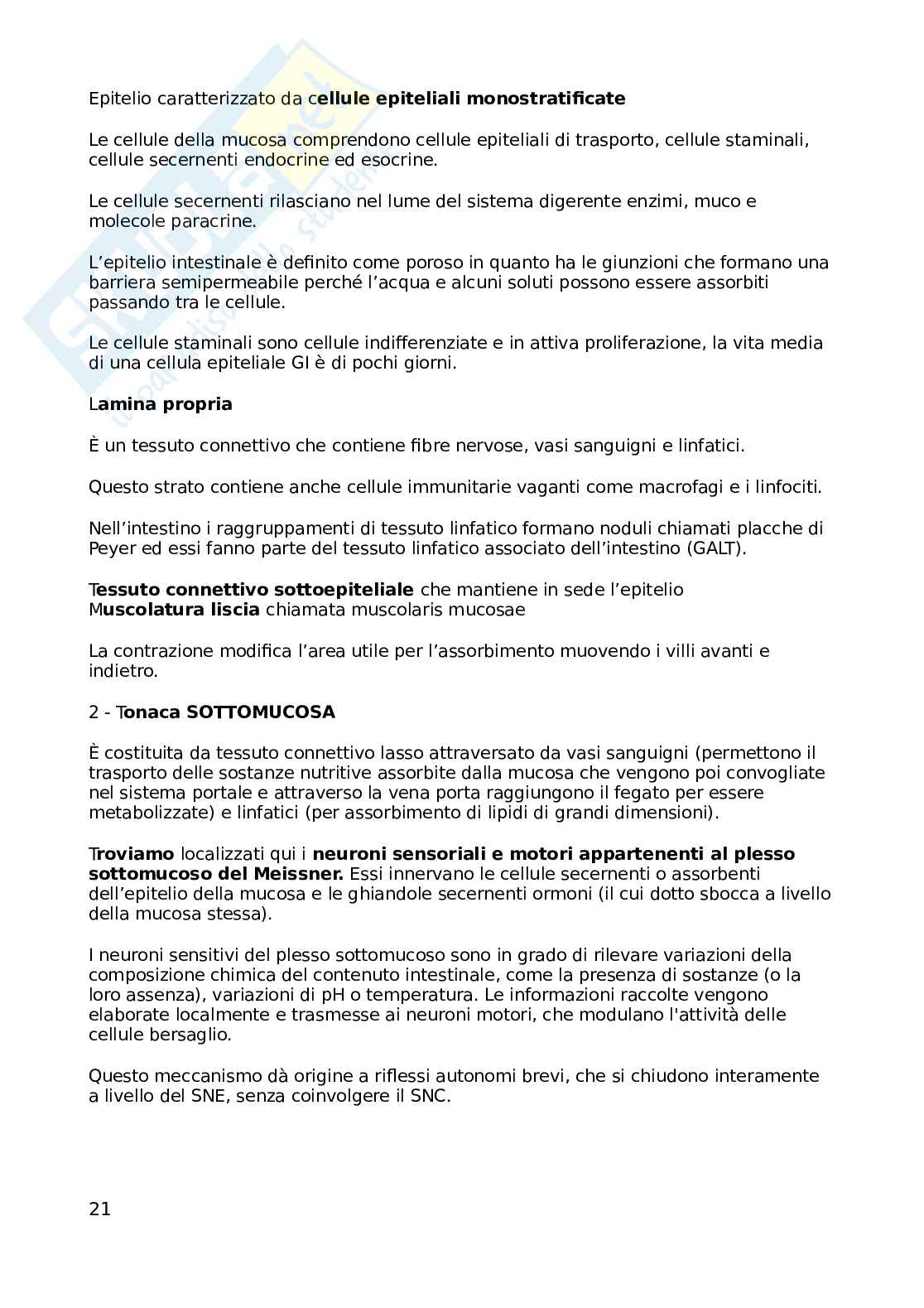 Appunti Fisologia della nutrizione, non completi Pag. 21