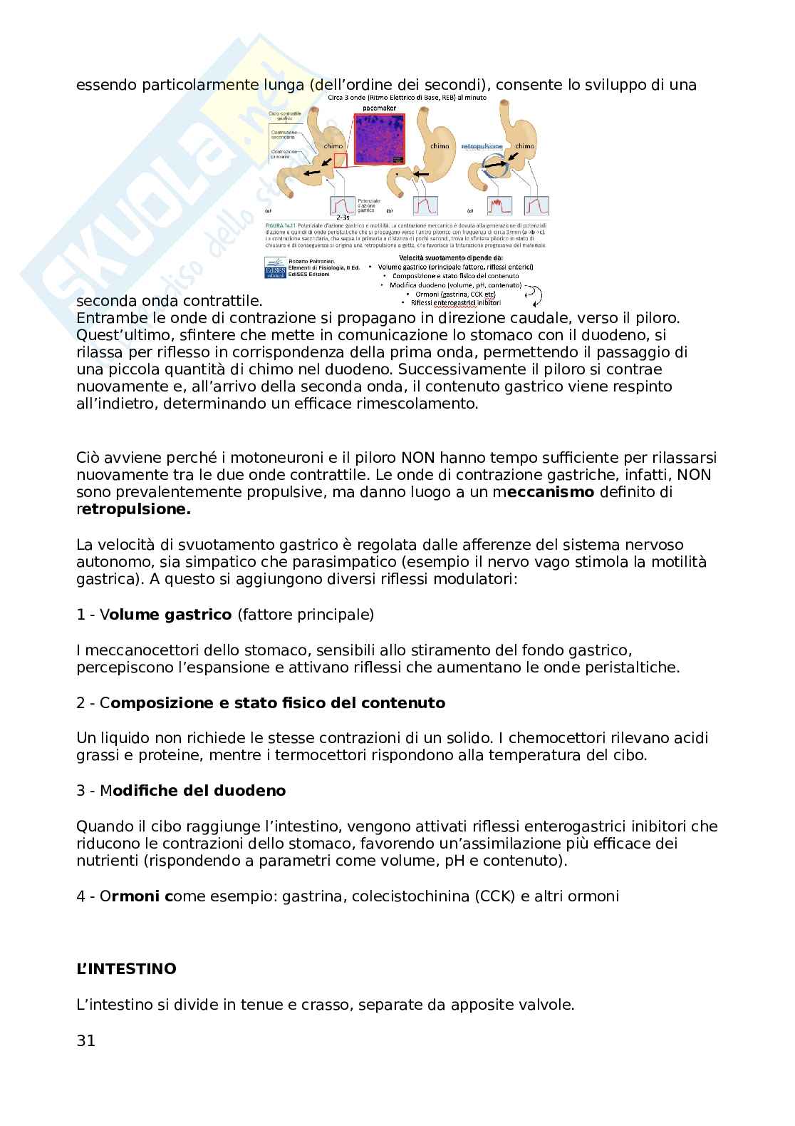 Appunti Fisologia della nutrizione, non completi Pag. 31