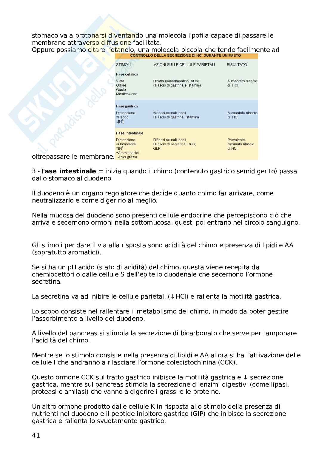 Appunti Fisologia della nutrizione, non completi Pag. 41