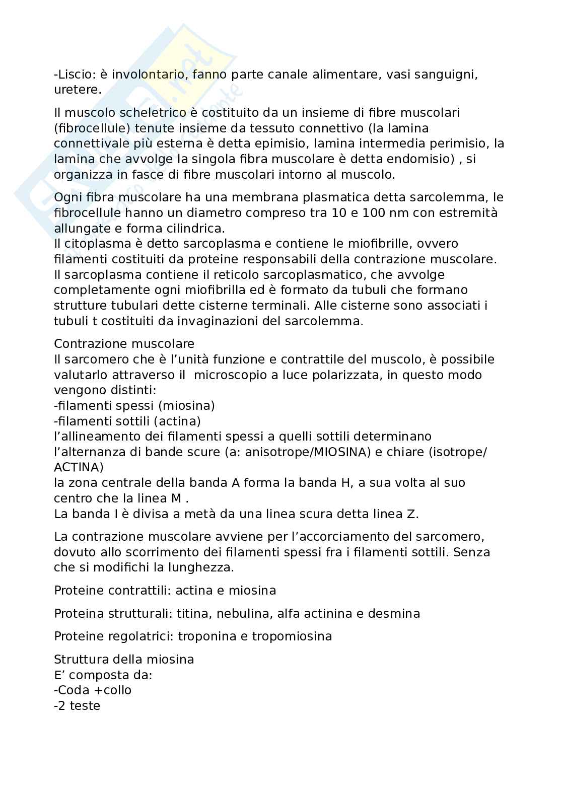 Riassunto esame Fisiopatologia, Prof. Scalfi Luca, libro consigliato Fisiologia, Scotto Pag. 6