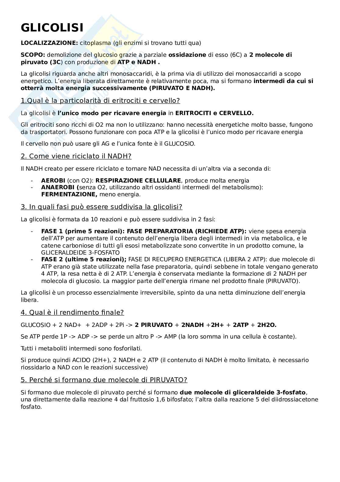 Glicolisi: scopo, localizzazione, meccanismo, regolazione. Pag. 1