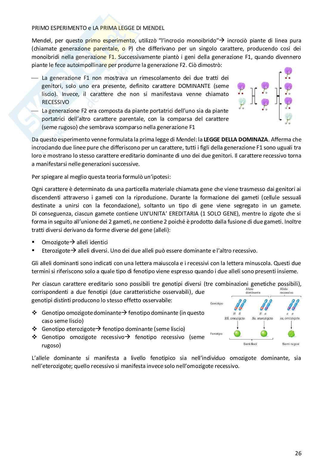 Appunti completi di Biologia umana Pag. 26