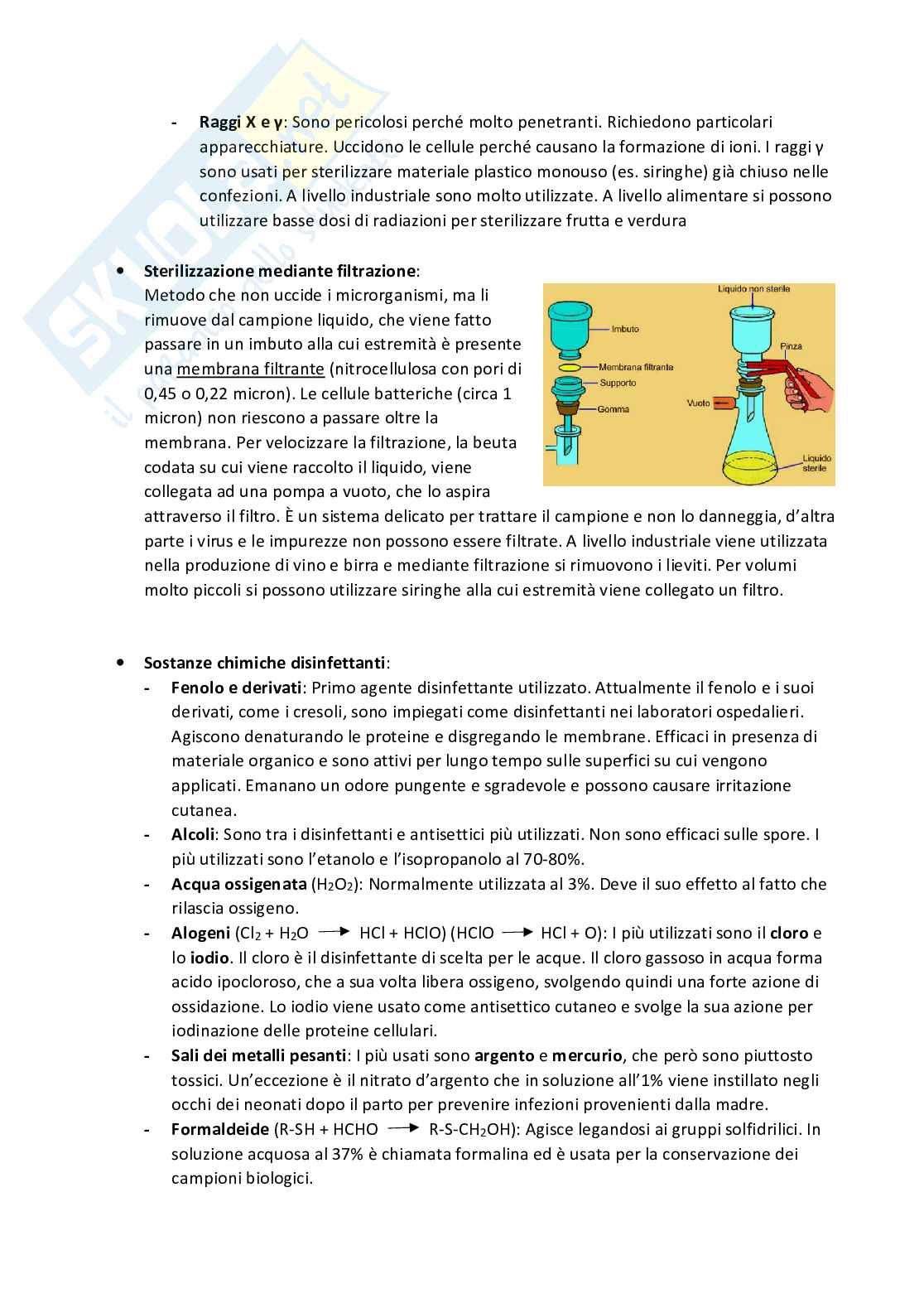 Appunti di Microbiologia Pag. 6