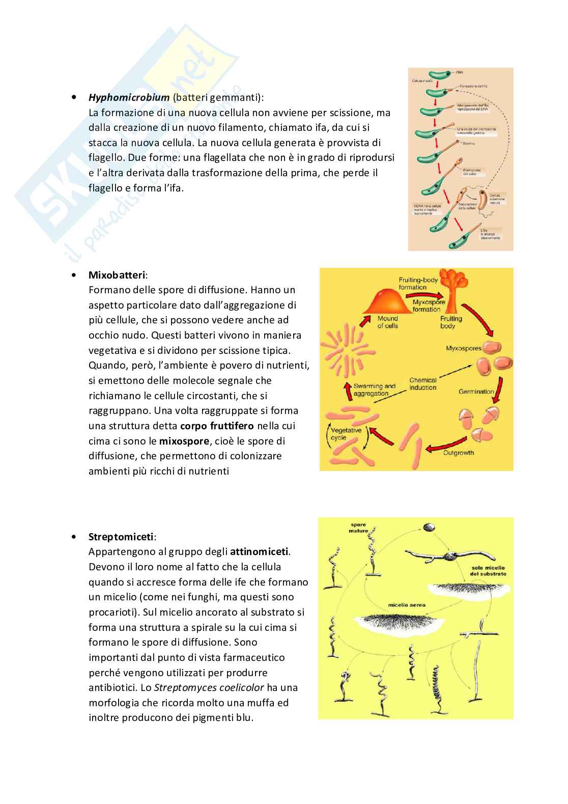 Appunti di Microbiologia Pag. 76