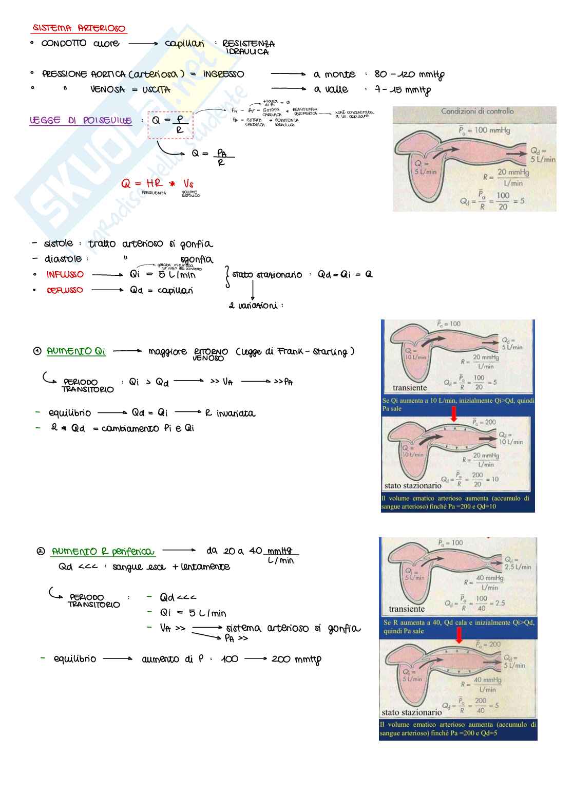 Appunti di Fisiologia B - parte 1 di 2 Pag. 11