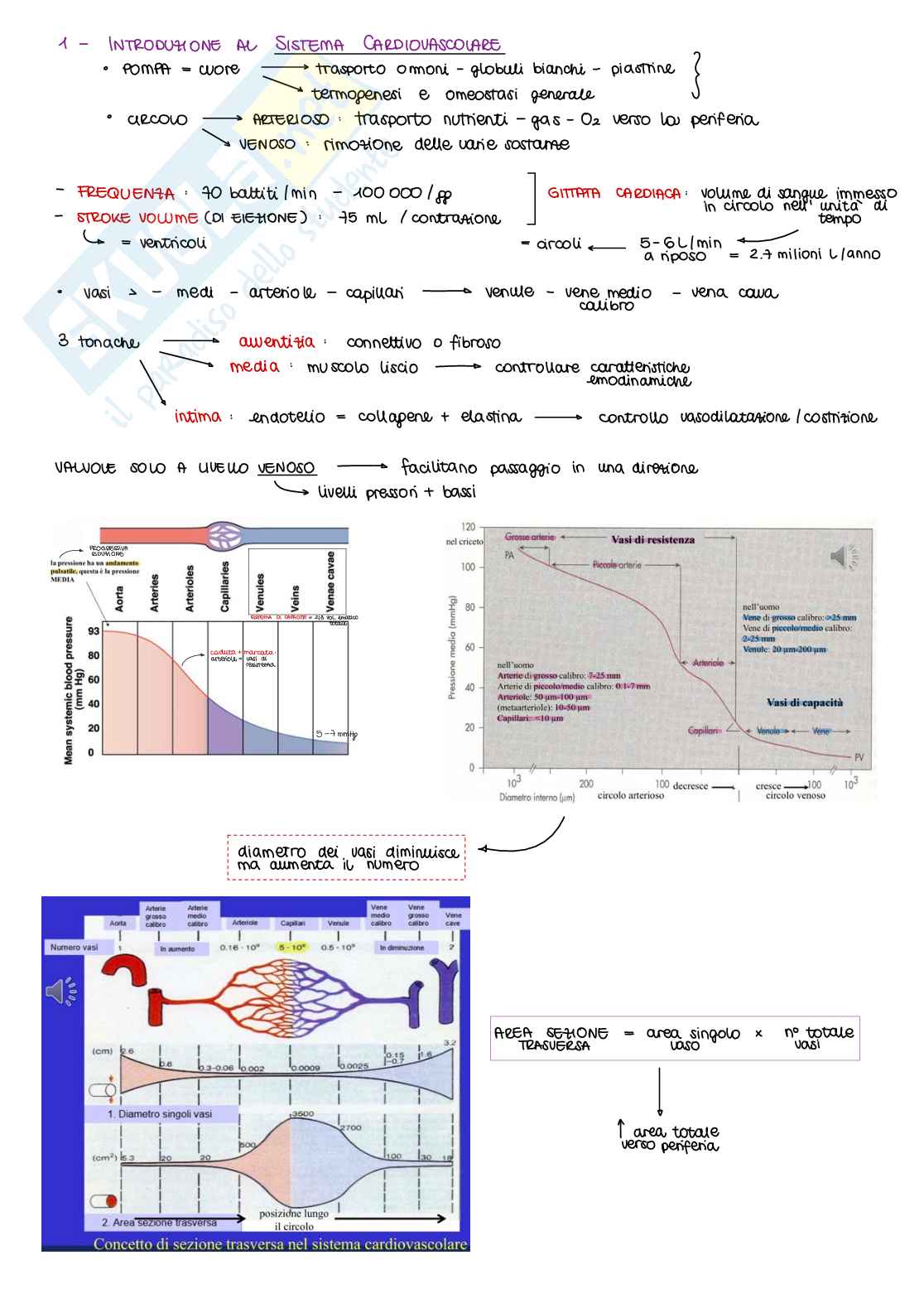 Appunti di Fisiologia B - parte 1 di 2 Pag. 2