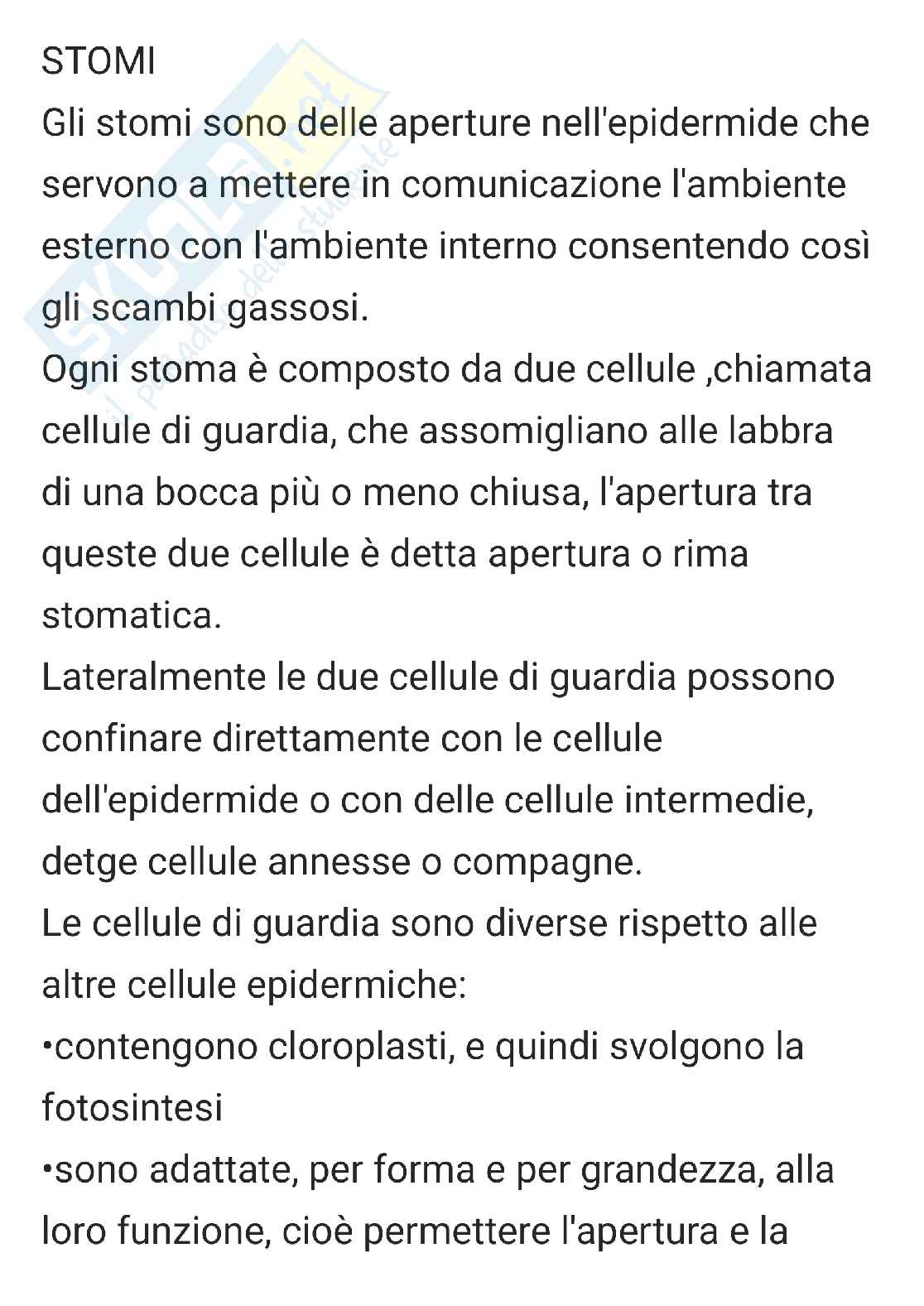 Riassunto esame Botanica e laboratorio, Prof. Basile Adriana, libro consigliato Botanica generale e diversità vegetale, Pasqua Pag. 1