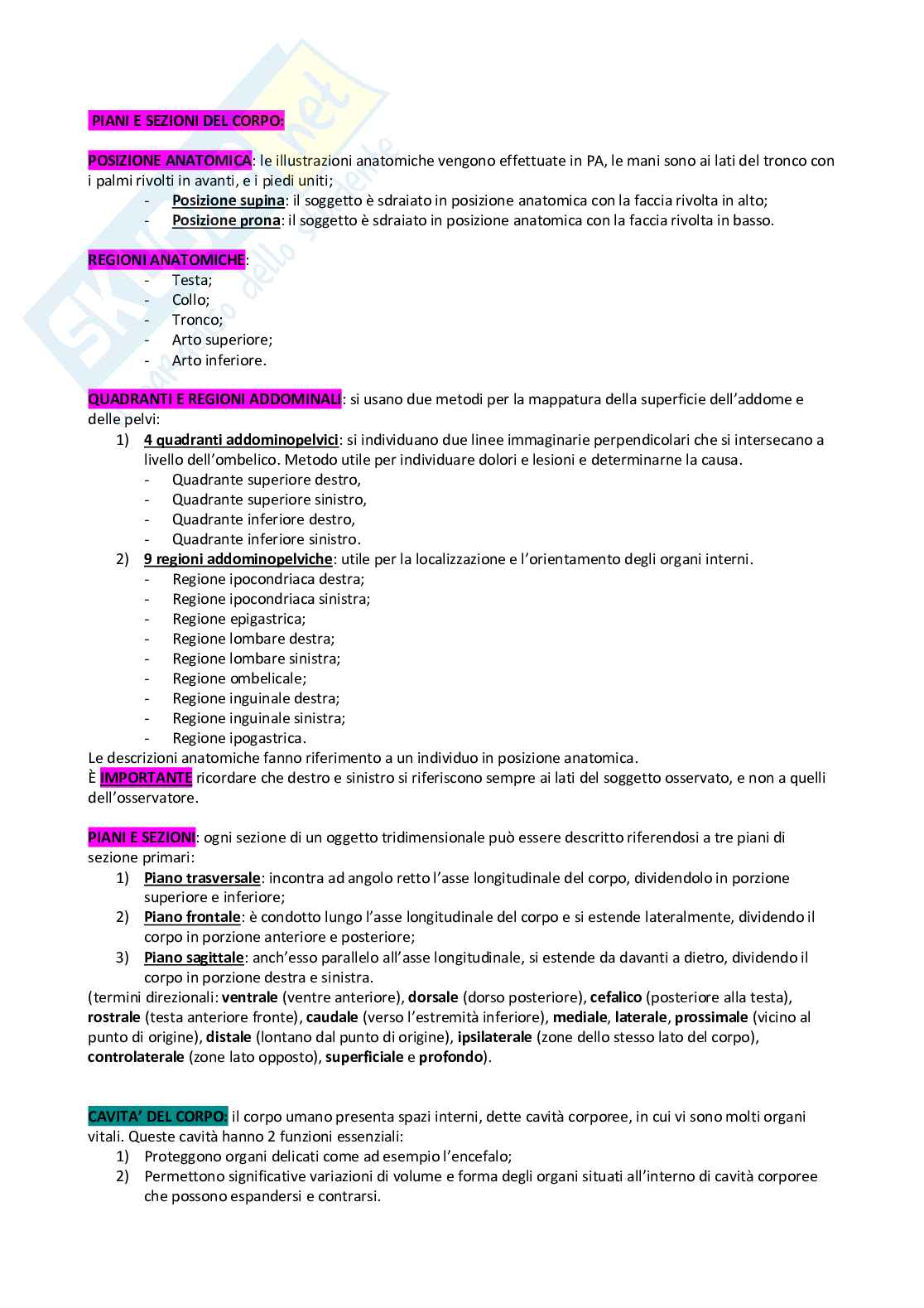 Anatomia umana Pag. 1